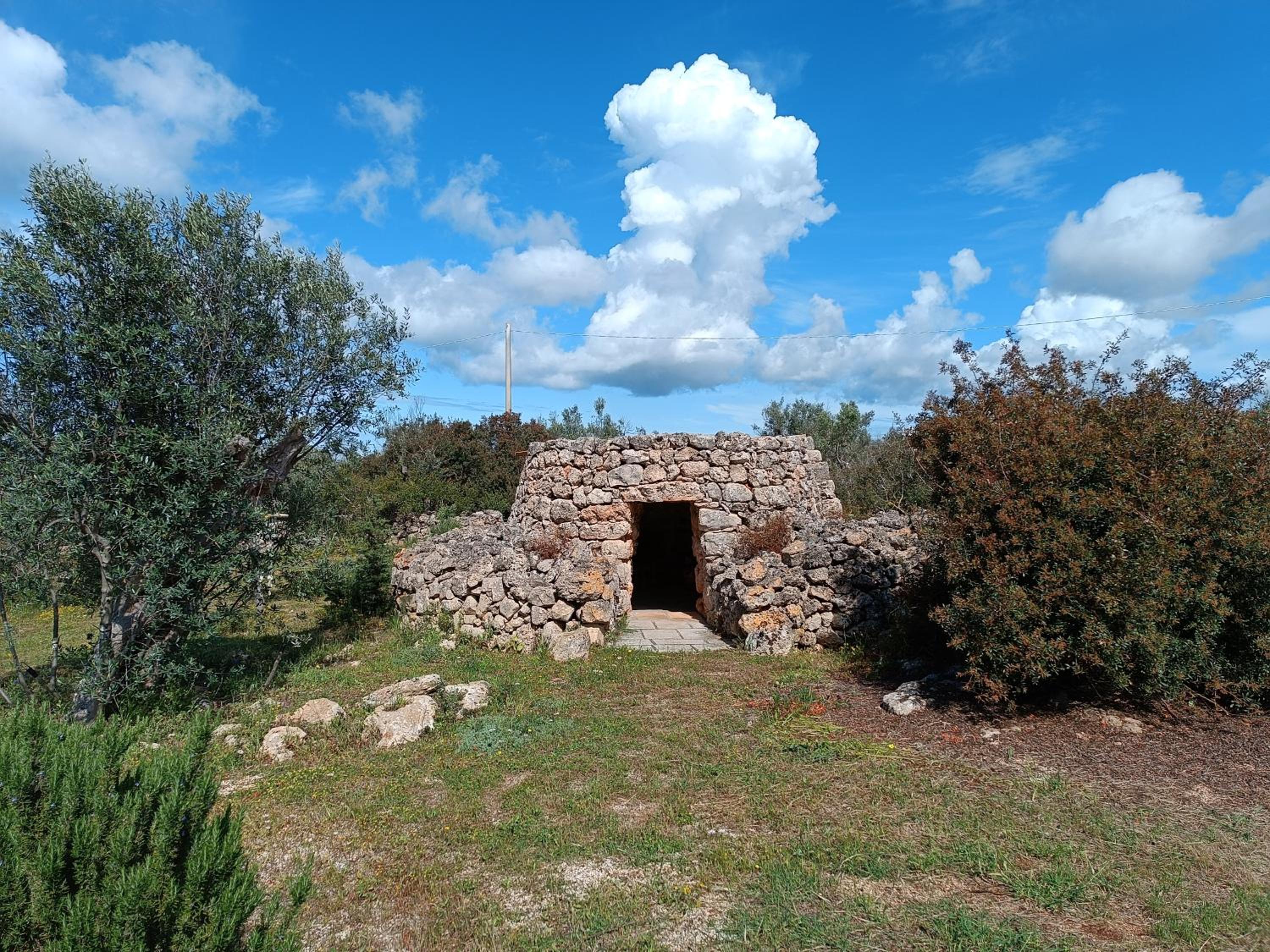 Photo 31
