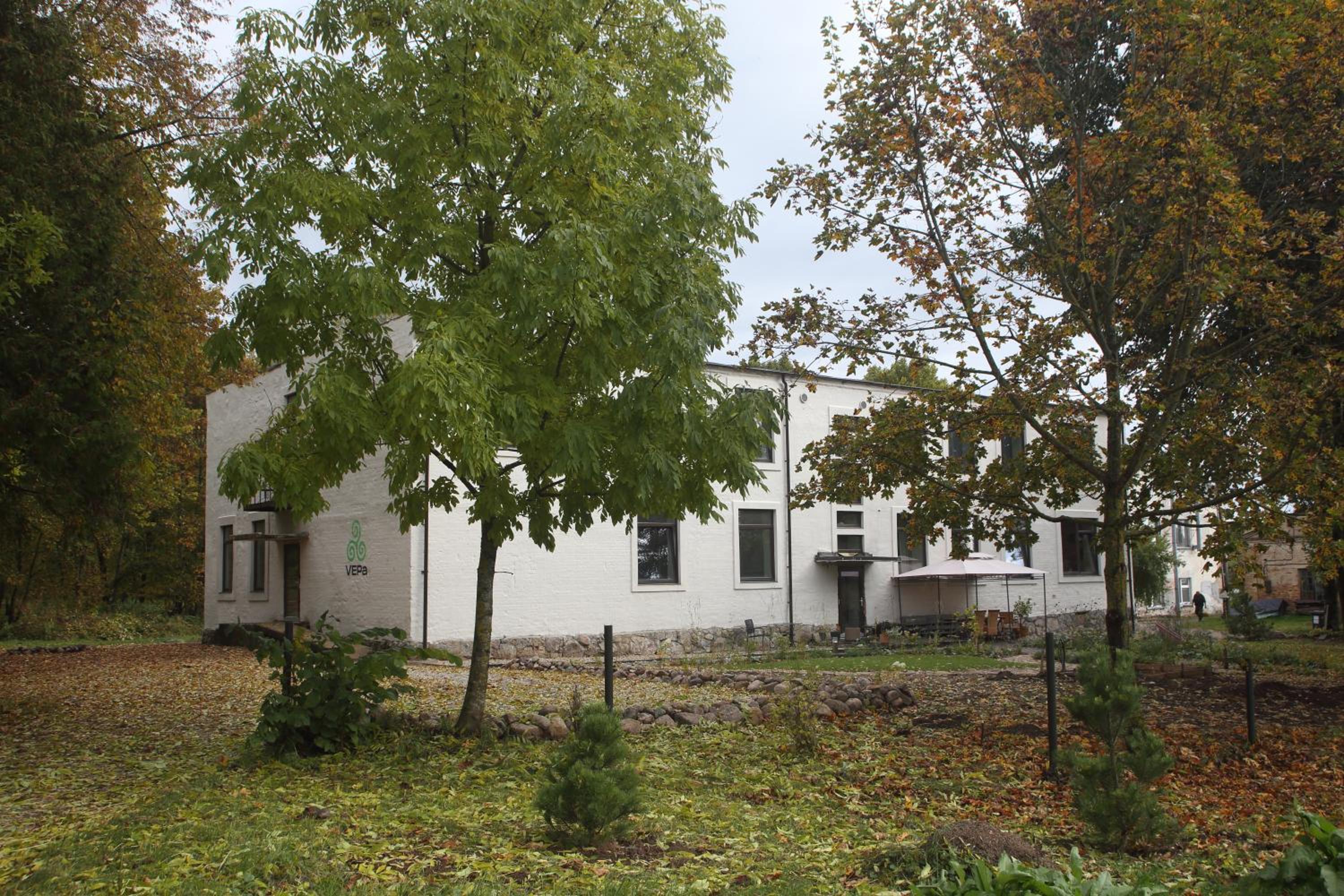 Photo 11
