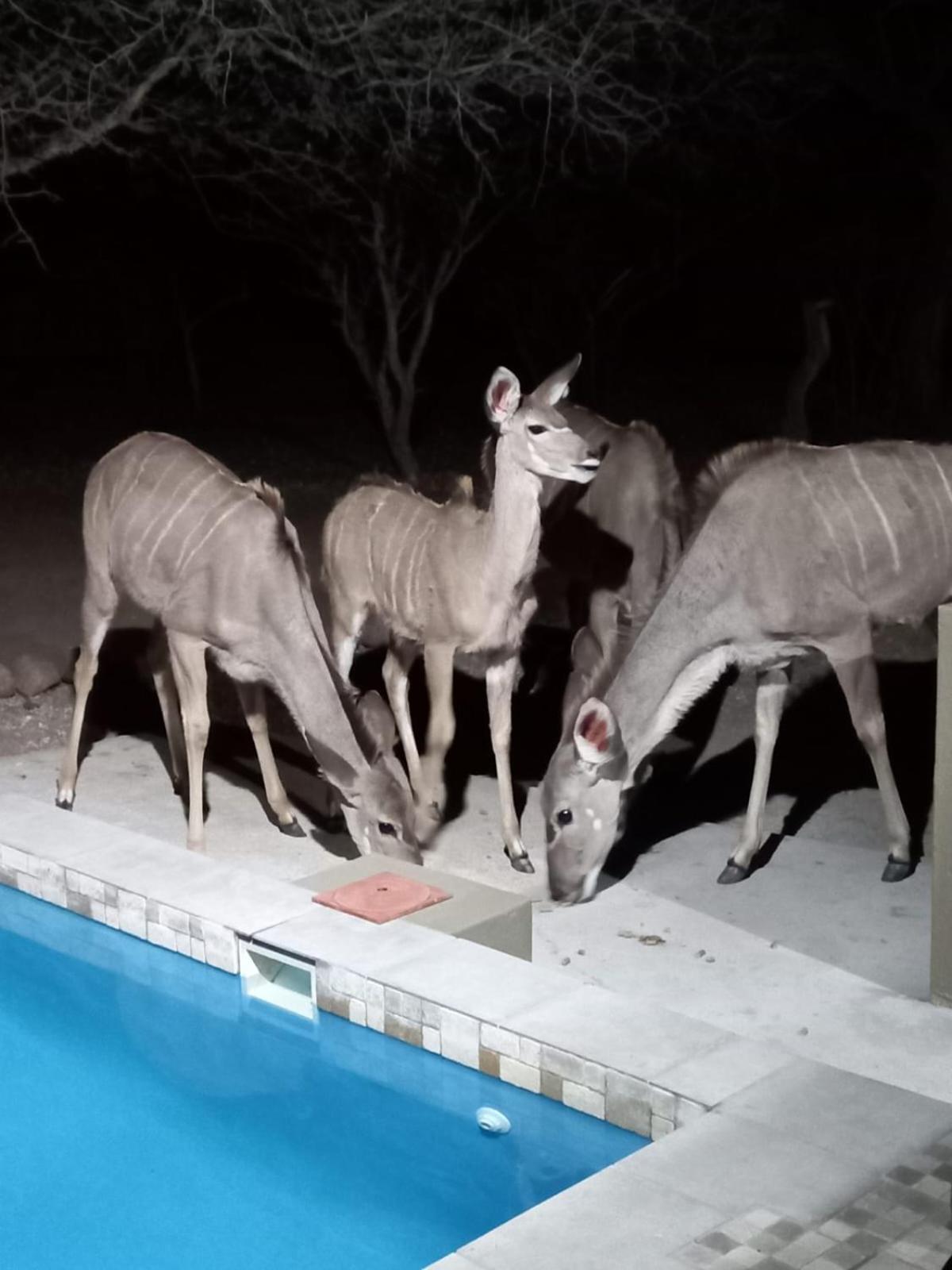 Kudus Crest Bush Retreat view 3