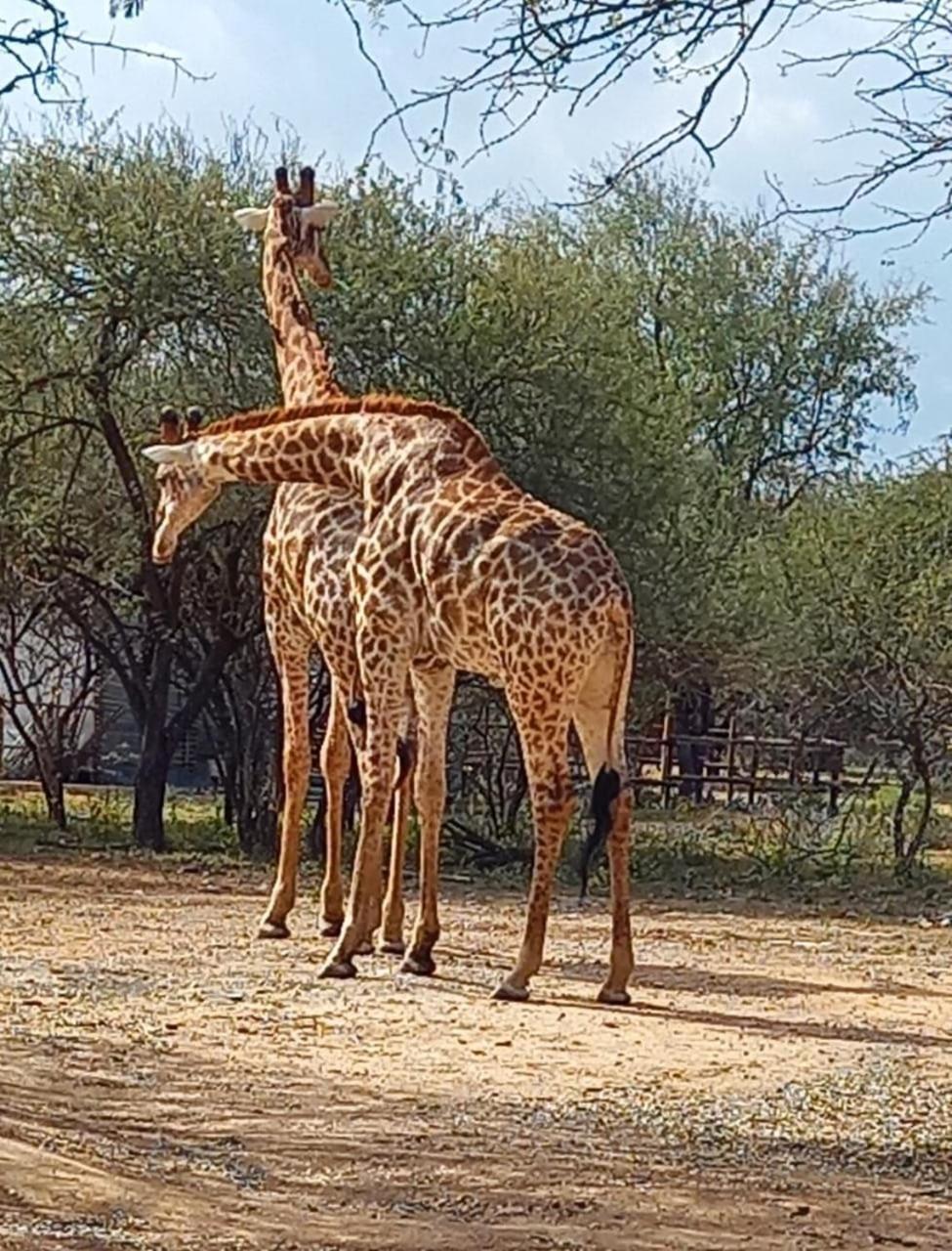 Kudus Crest Bush Retreat view 4
