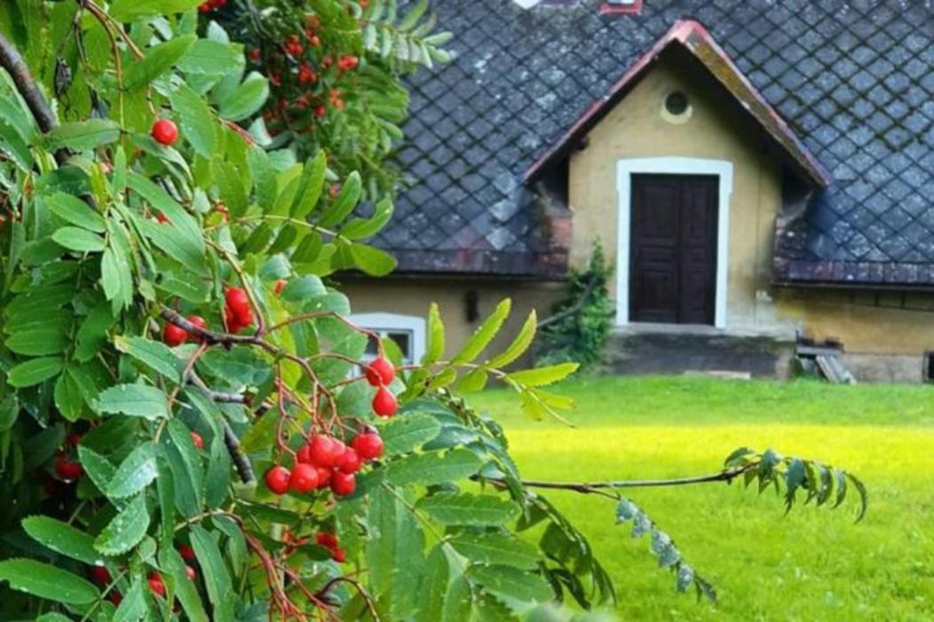 Červený Stylový Apartmán 3 km od Malé Skály