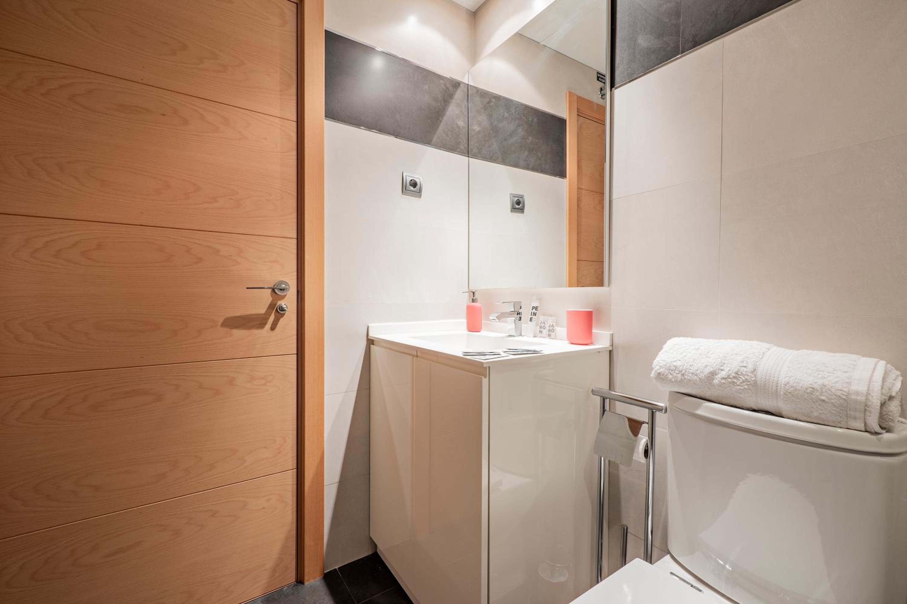 Luxury apartments in Barrio Palacio
