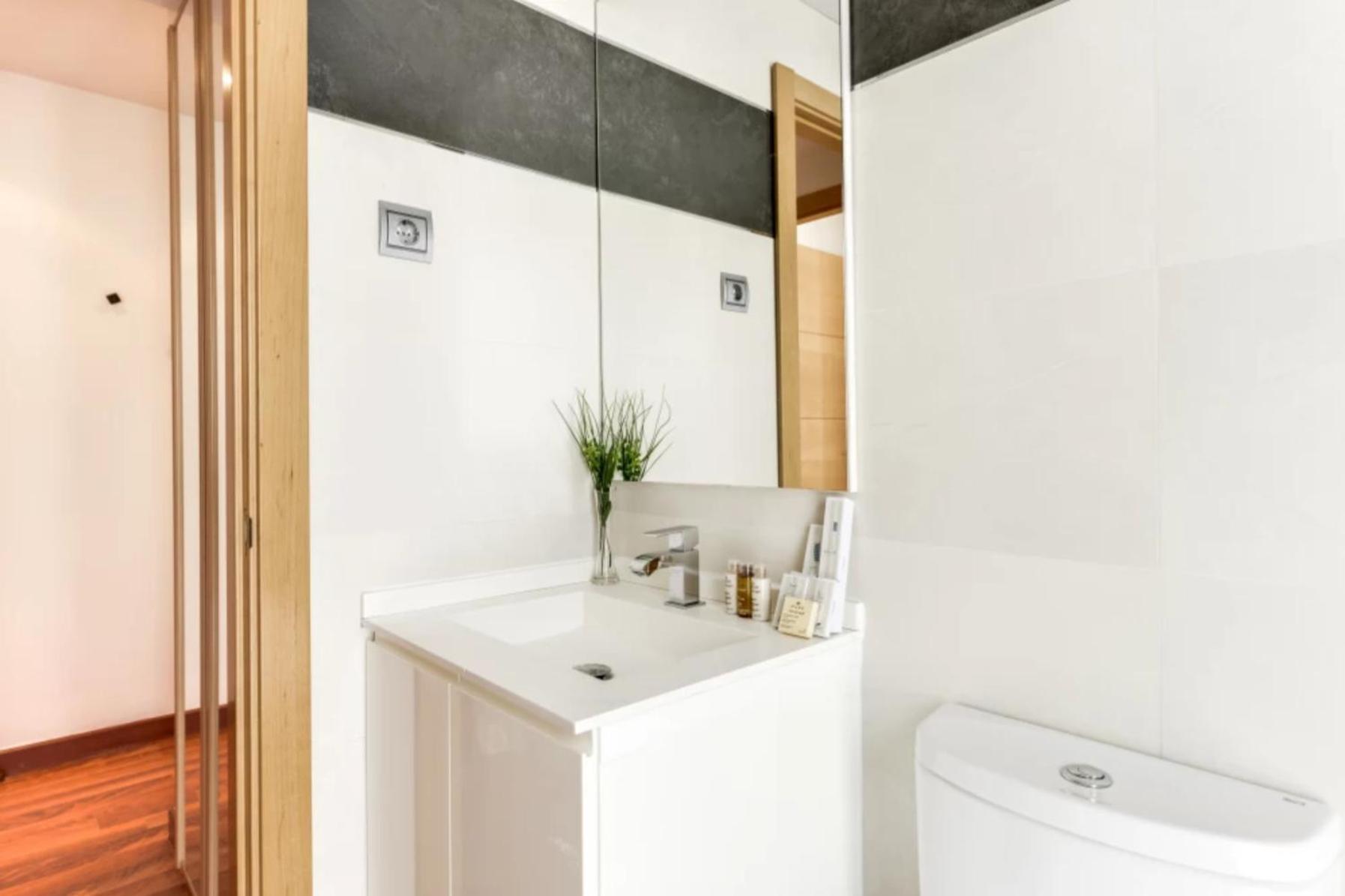 Luxury apartments in Barrio Palacio