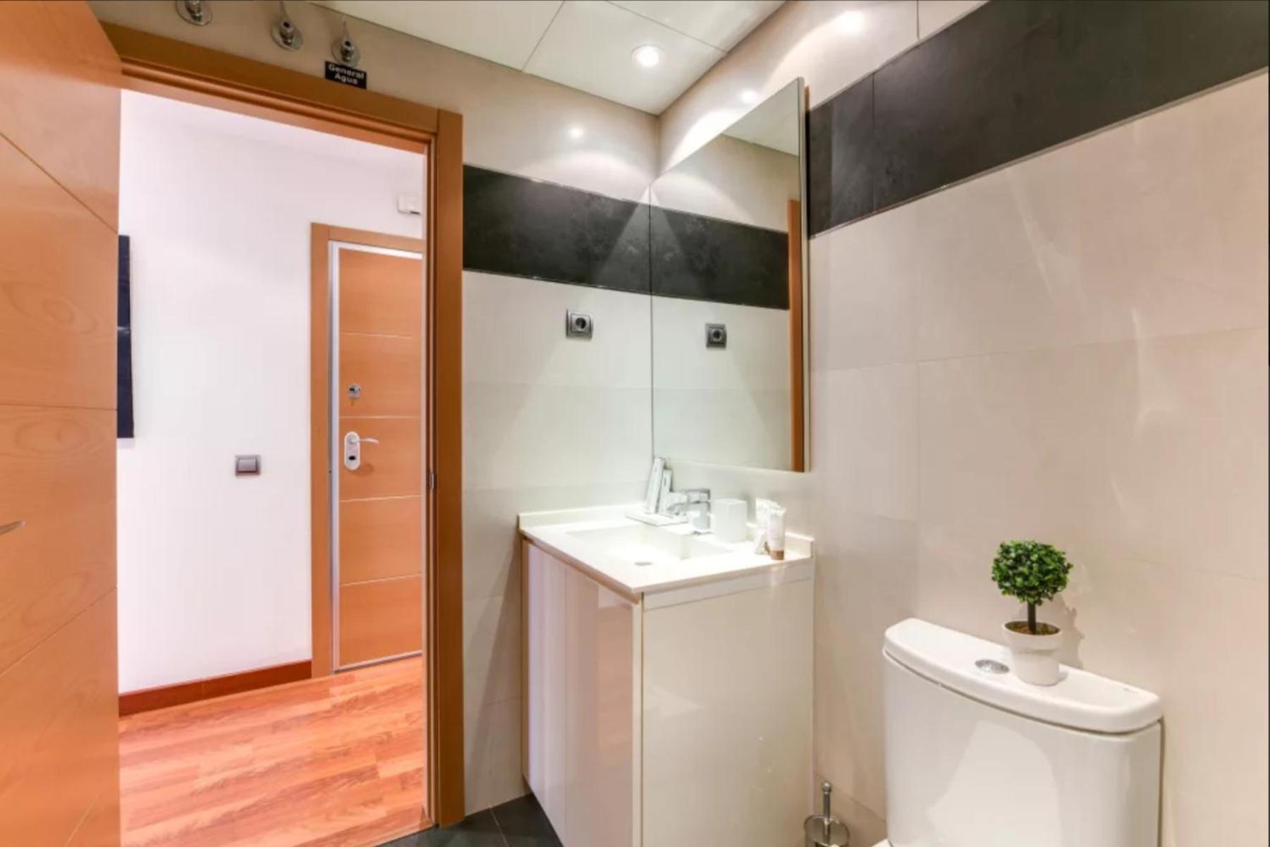 Luxury apartments in Barrio Palacio