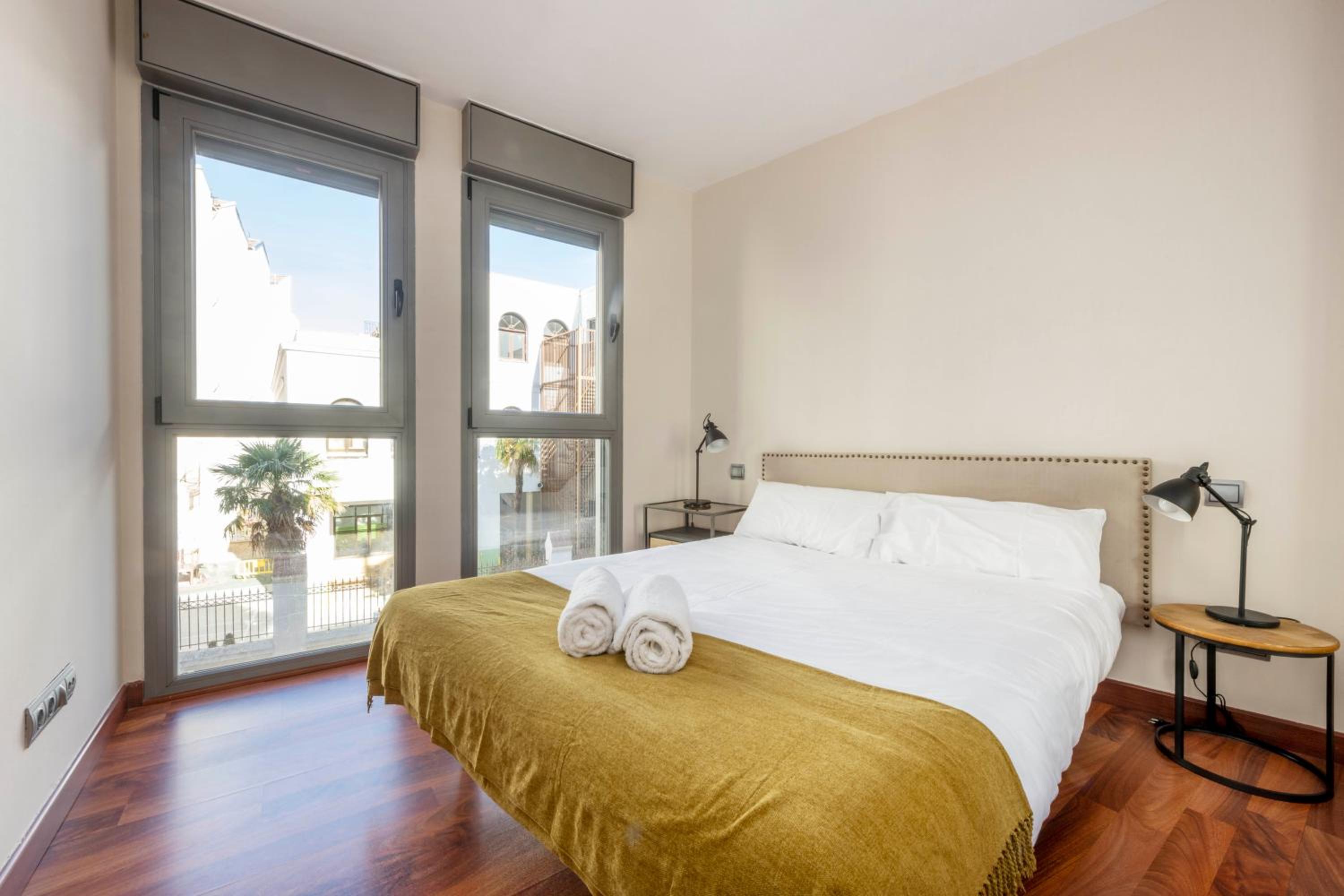 Luxury apartments in Barrio Palacio