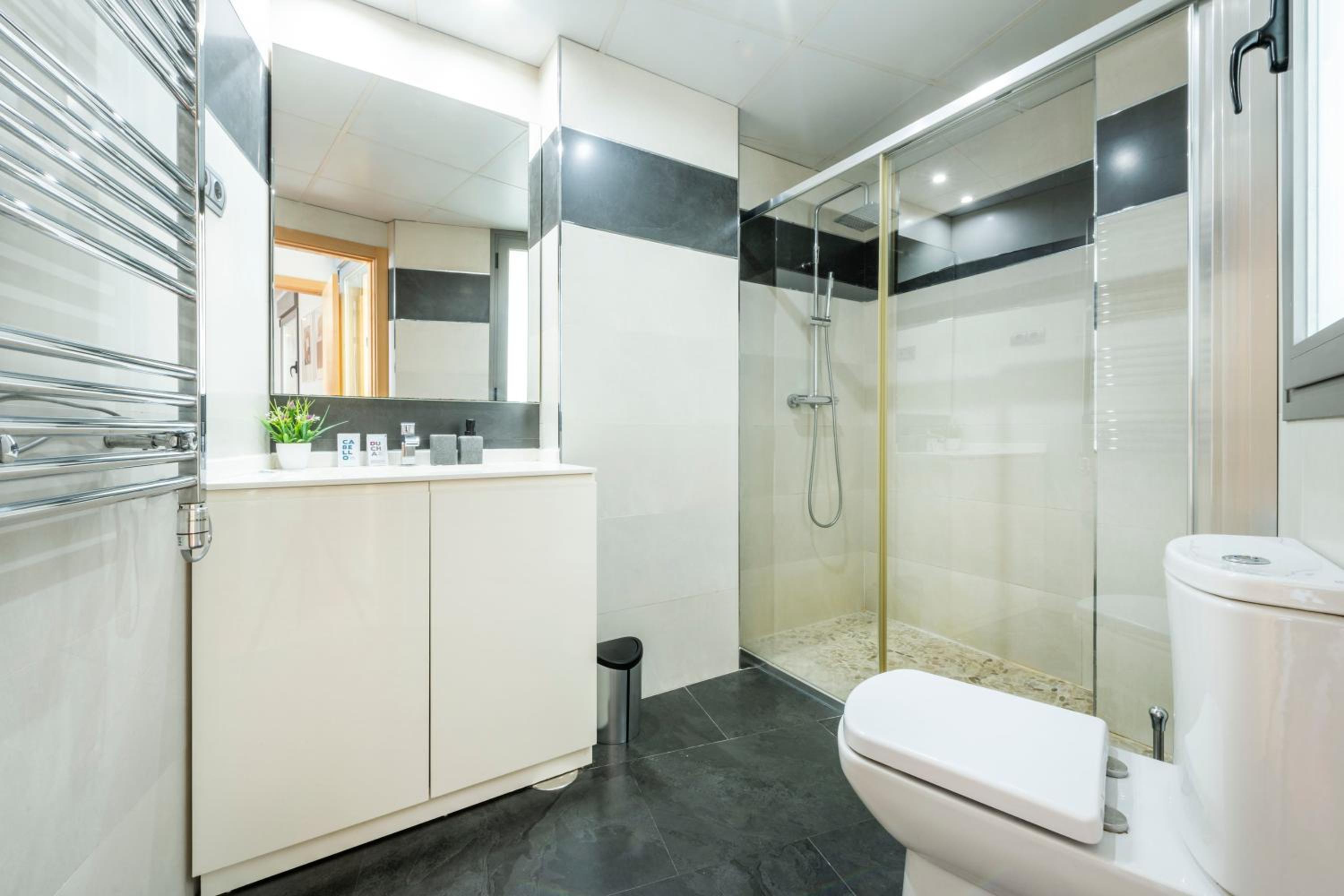 Luxury apartments in Barrio Palacio