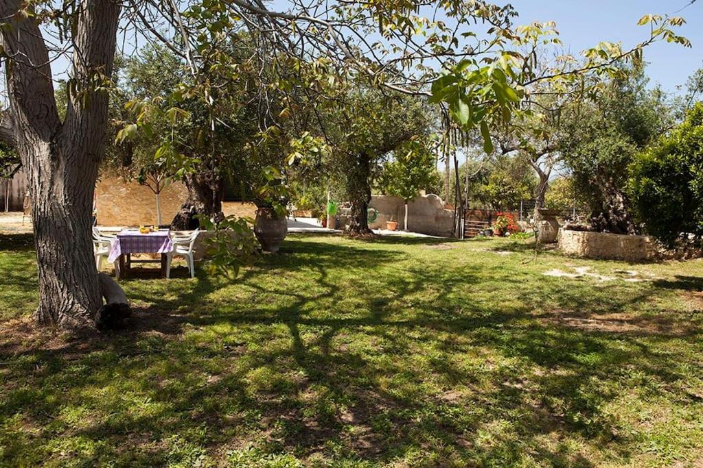 Cretan cottage of 1900 with beautiful olive yard