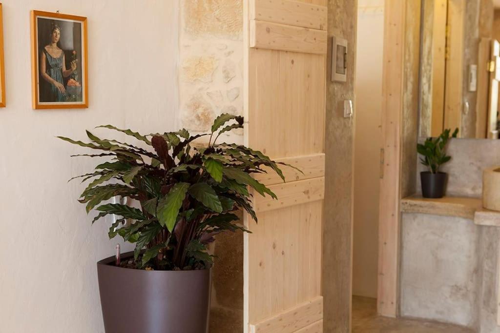 Cretan cottage of 1900 with beautiful olive yard