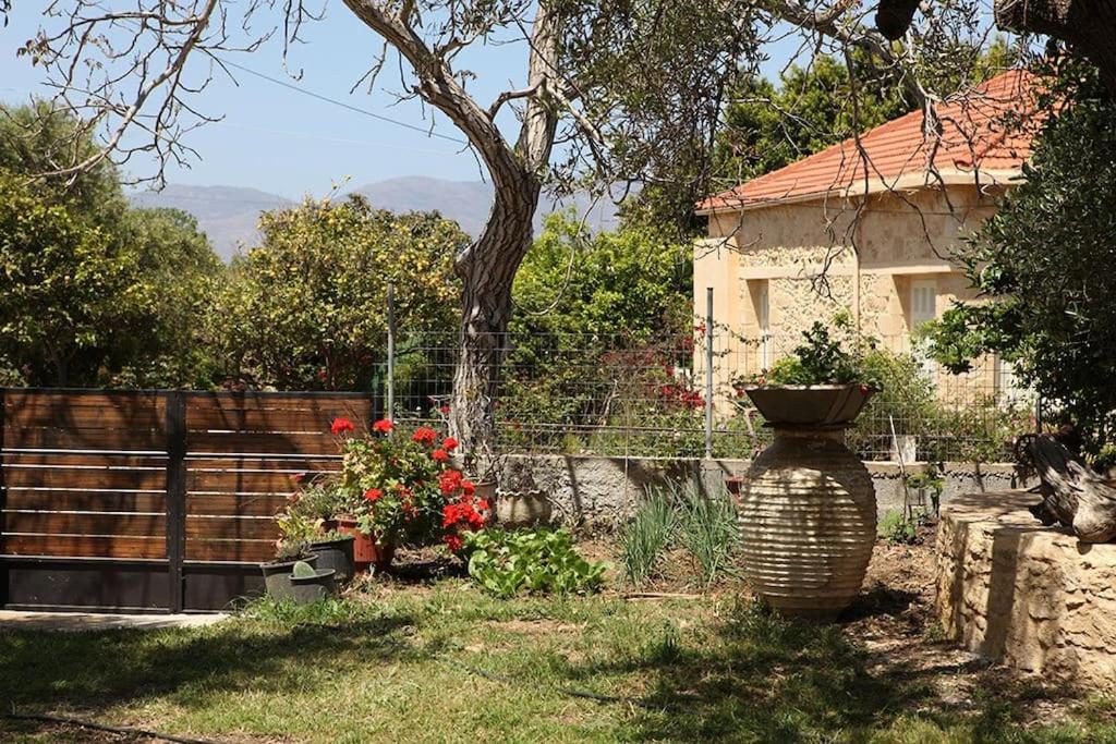 Cretan cottage of 1900 with beautiful olive yard