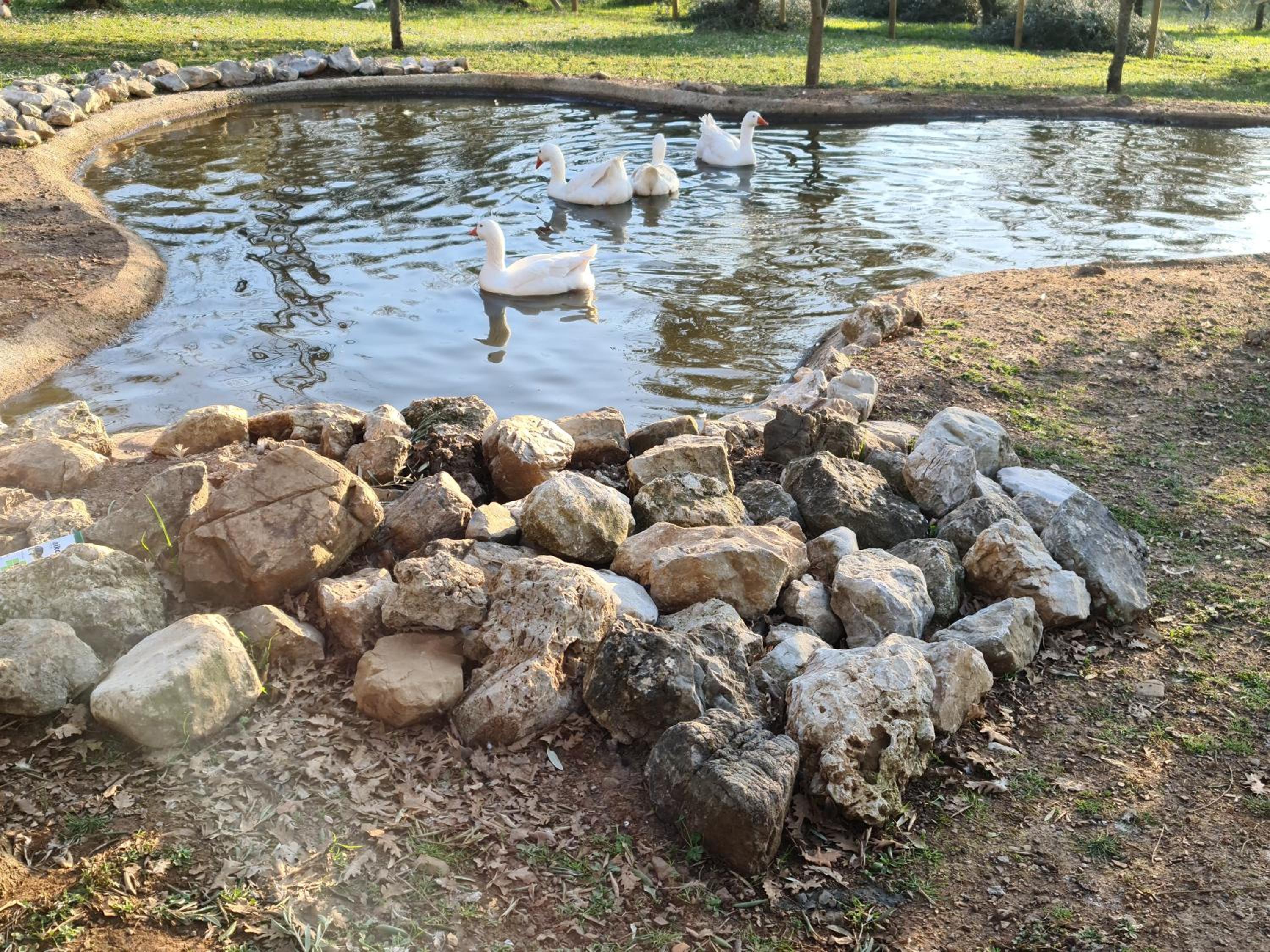 Photo 46