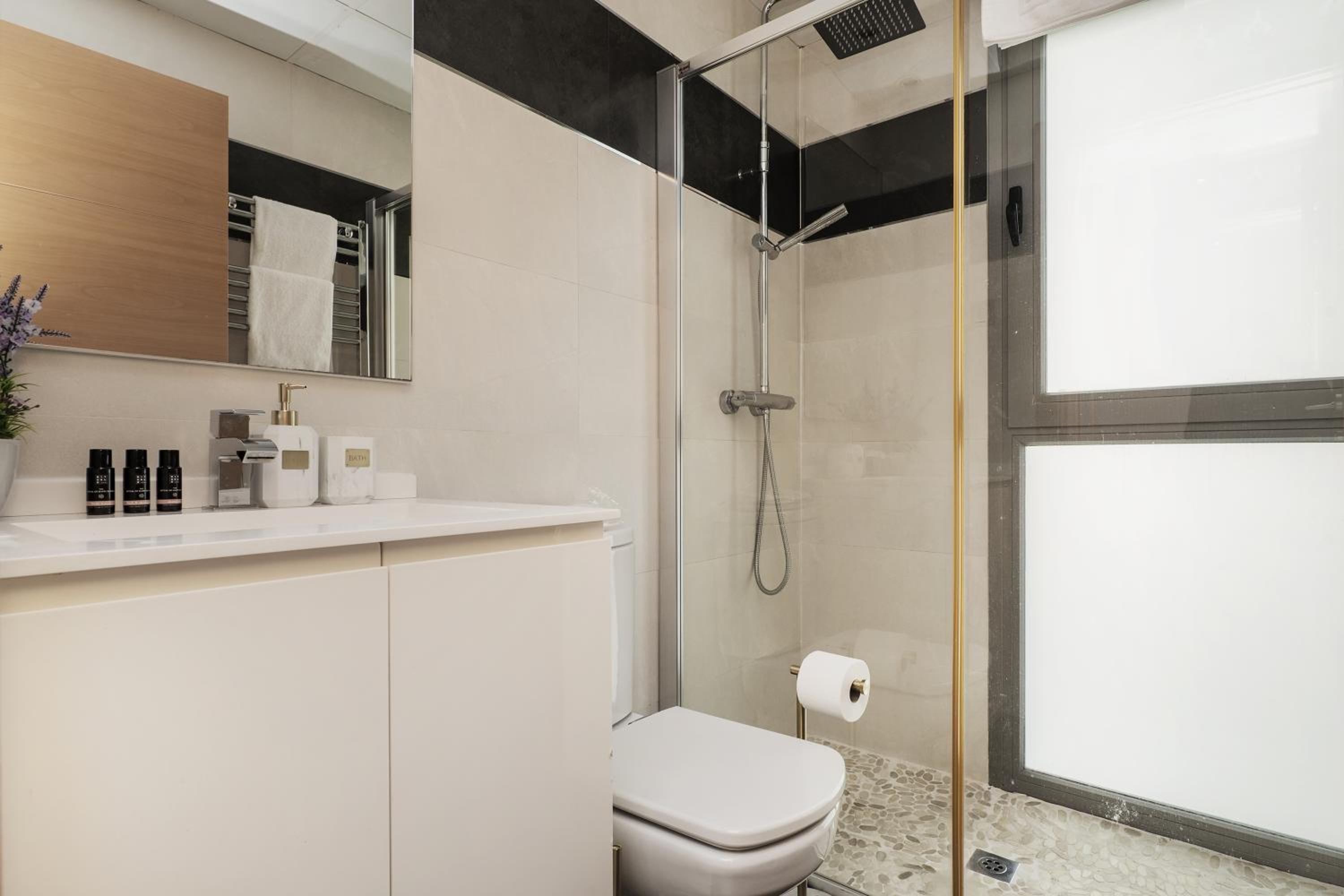 Luxury apartments in Barrio Palacio