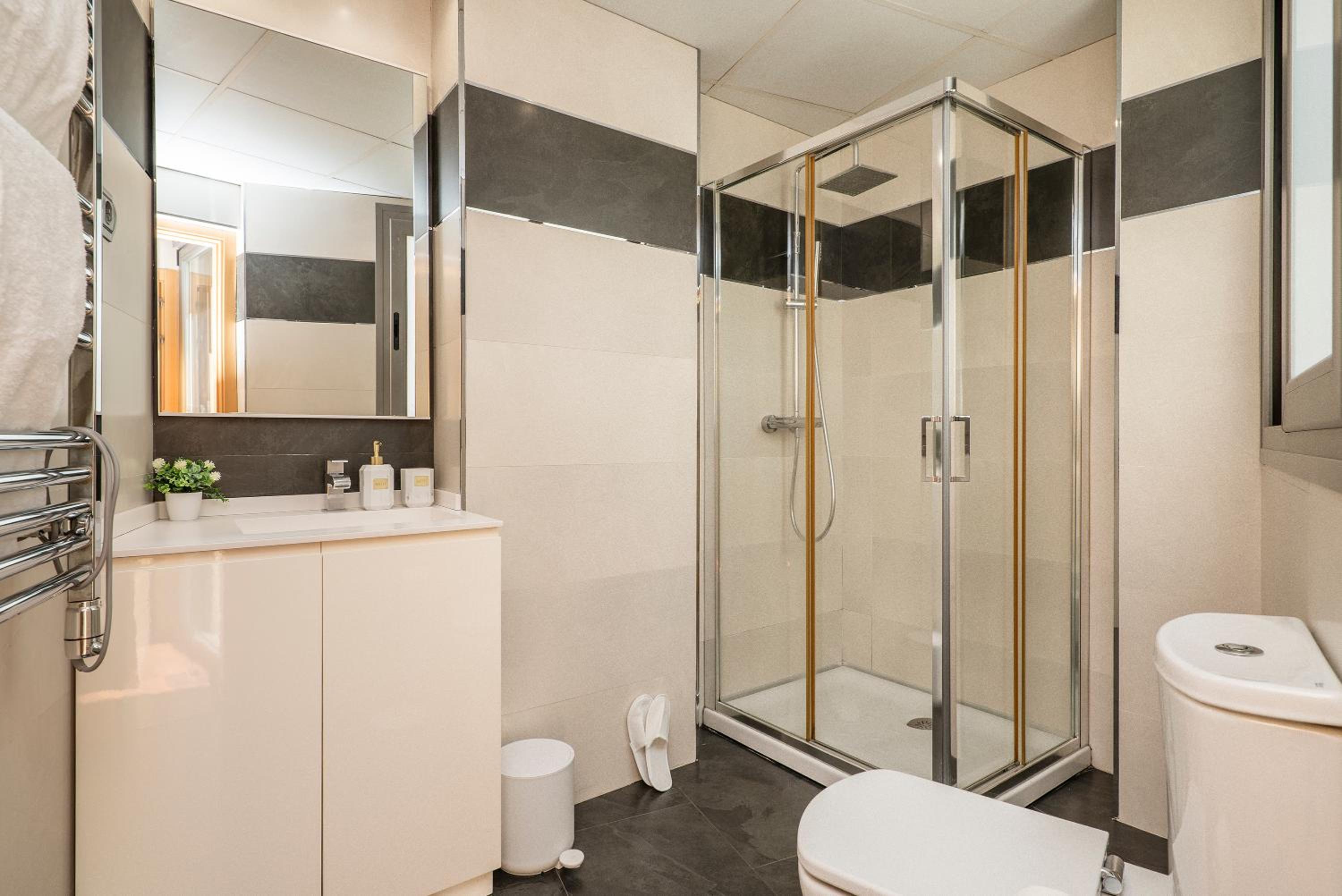 Luxury apartments in Barrio Palacio