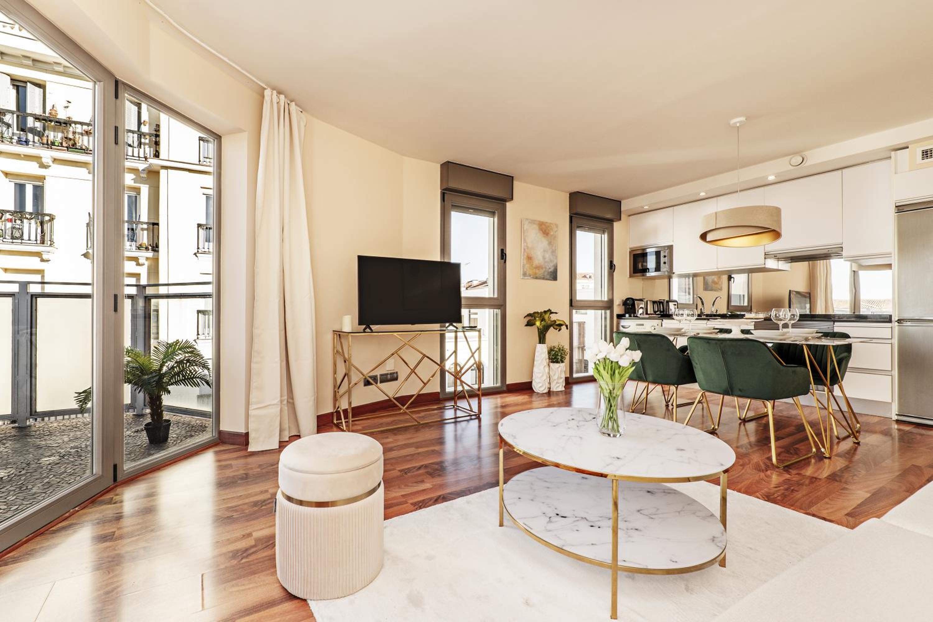 Luxury apartments in Barrio Palacio