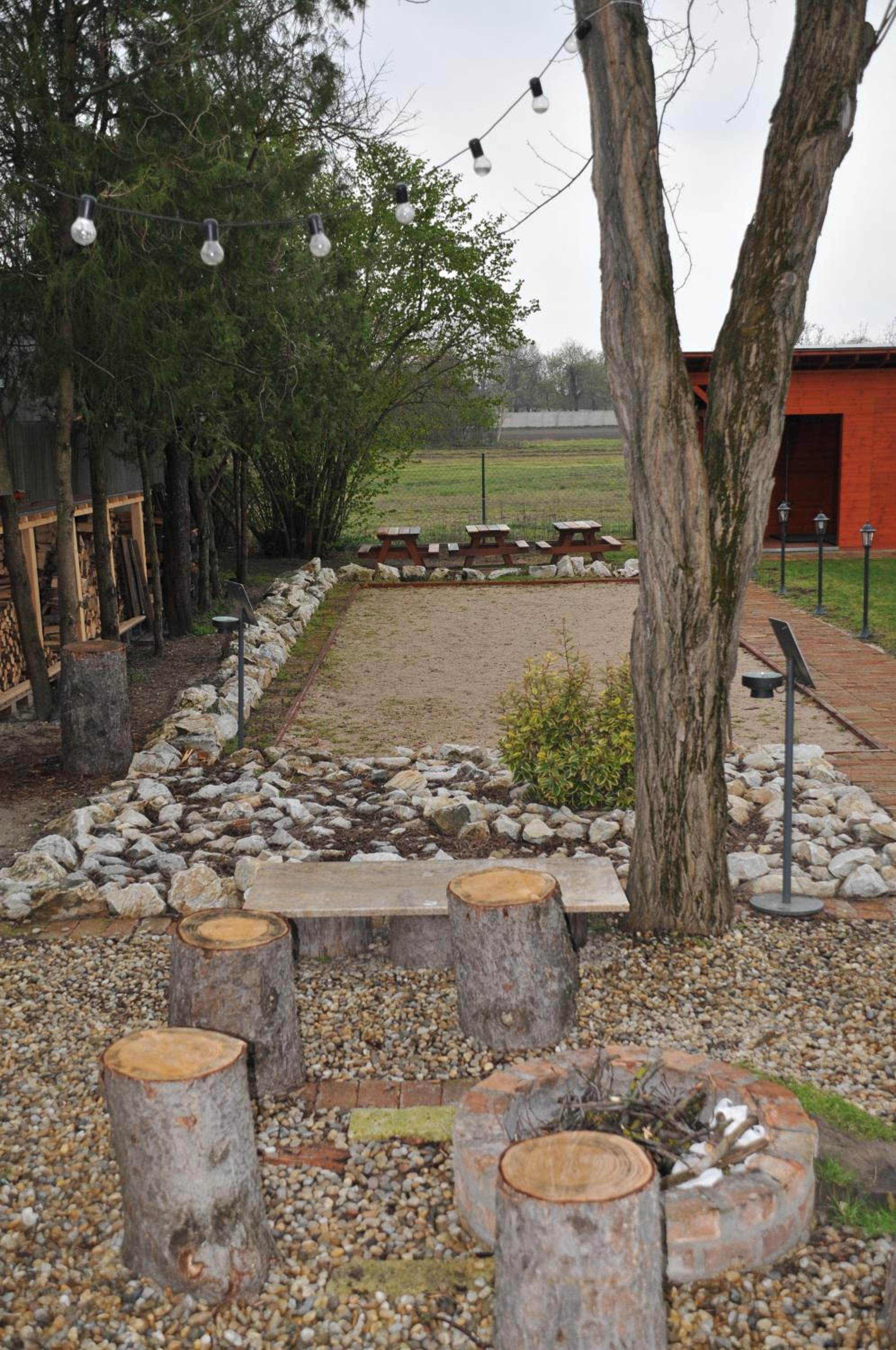 Photo 11
