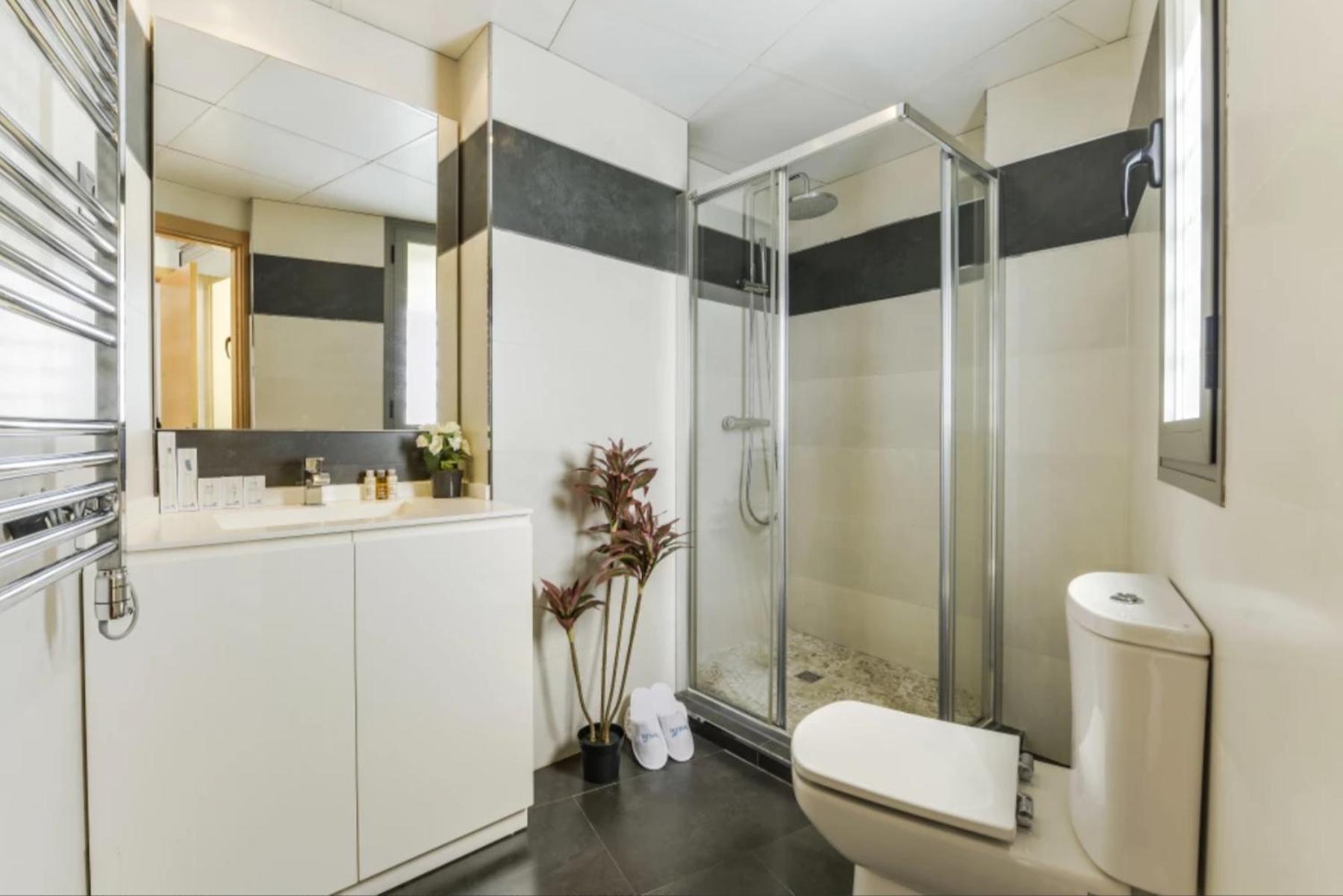Luxury apartments in Barrio Palacio