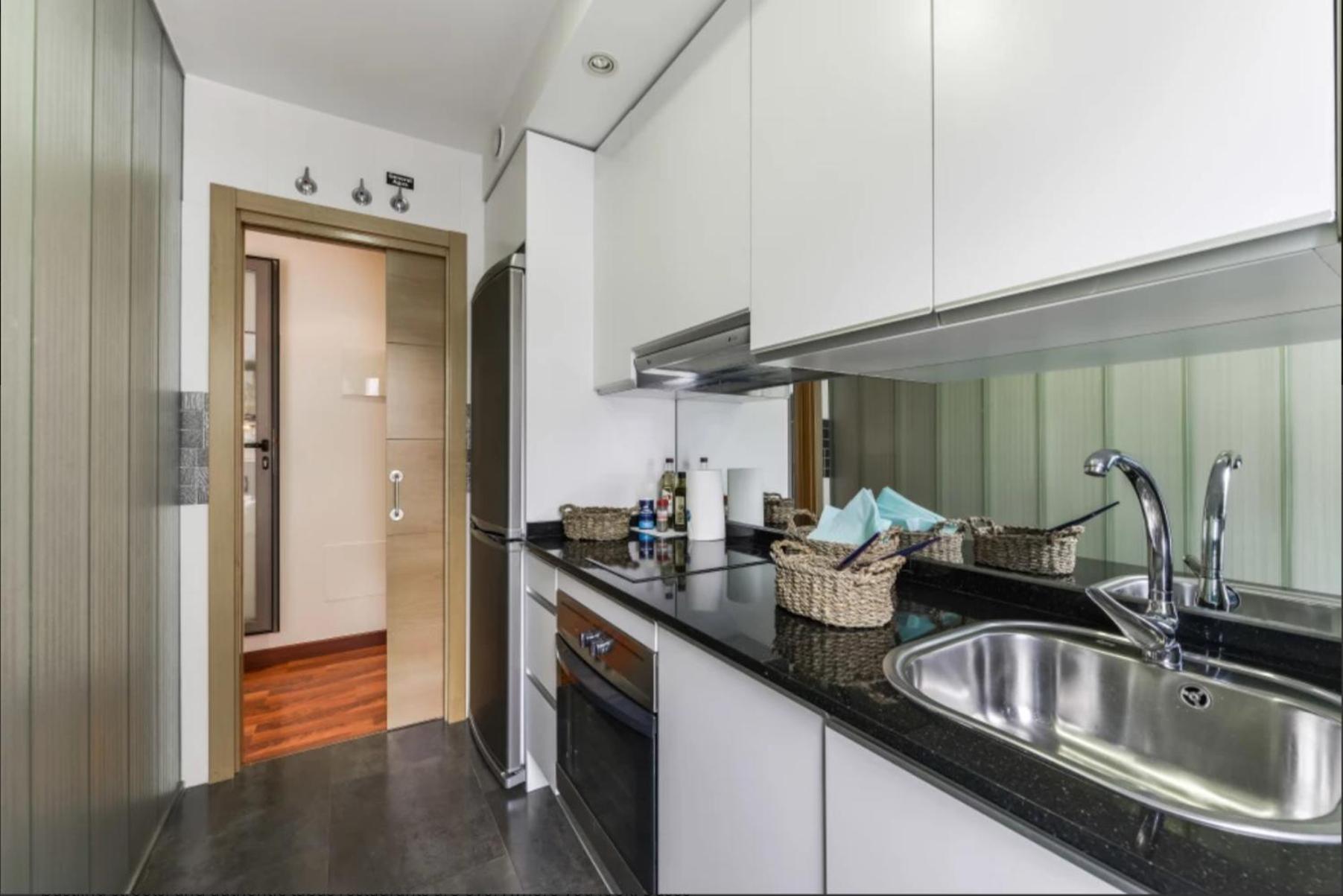 Luxury apartments in Barrio Palacio
