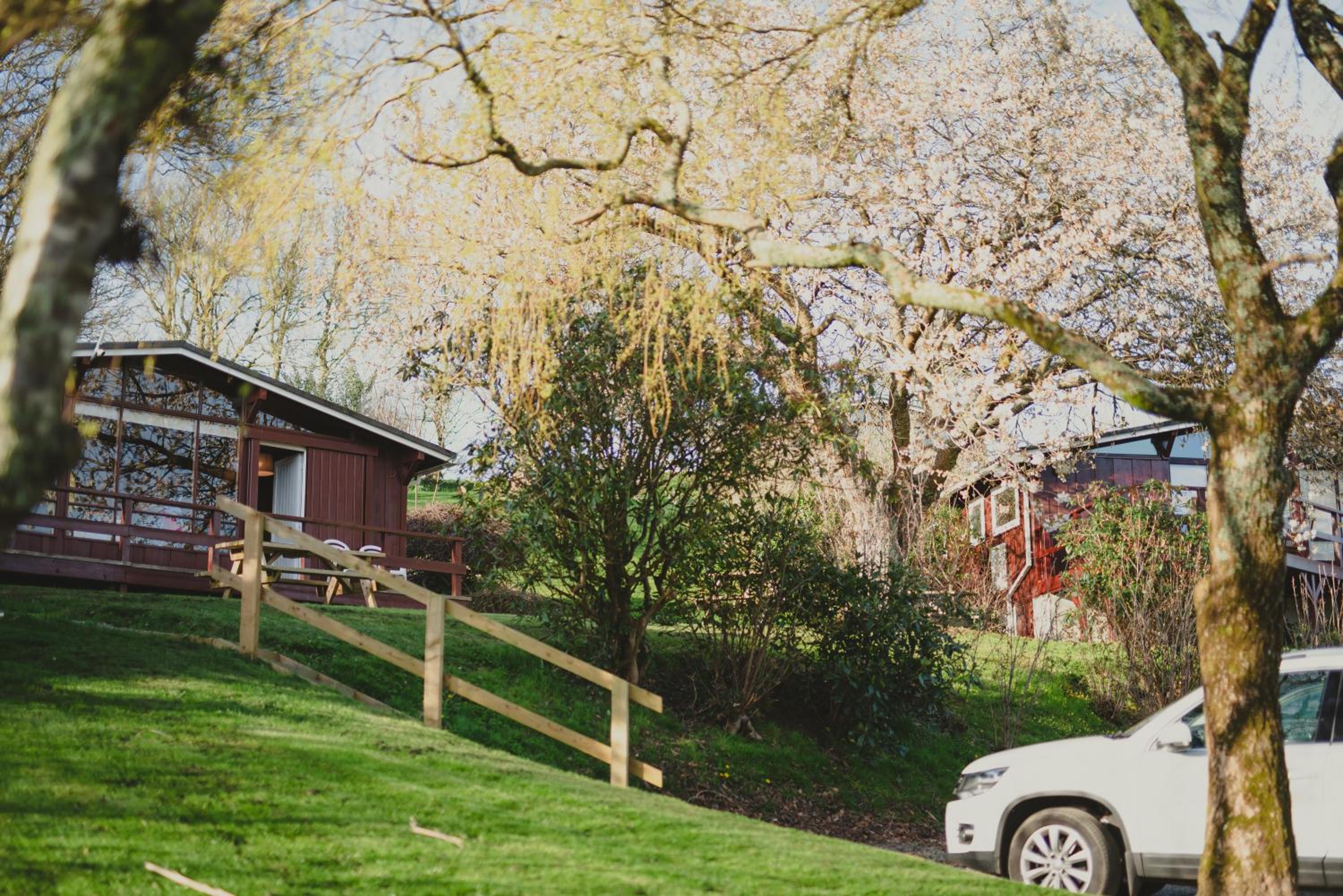 Photo 46