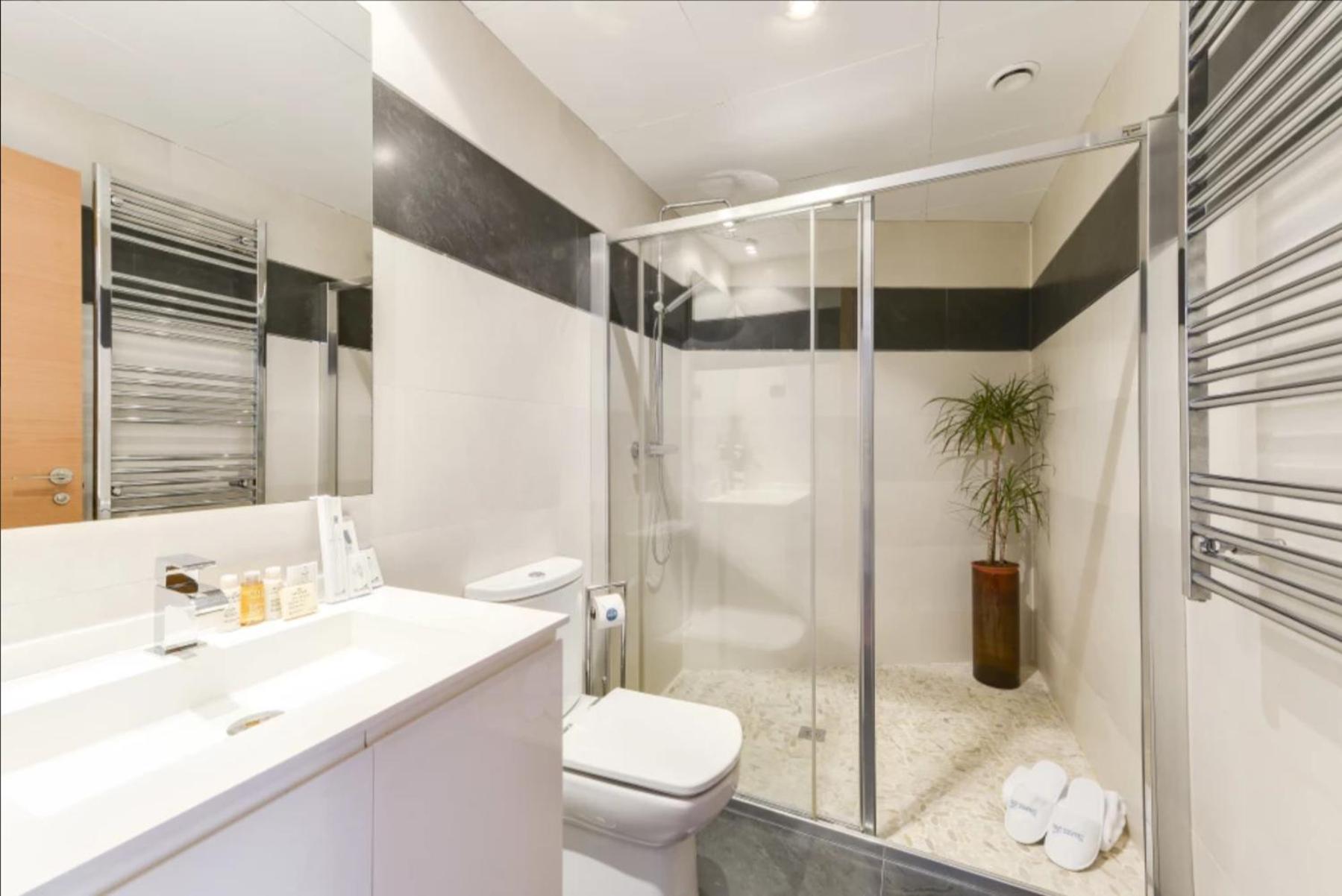 Luxury apartments in Barrio Palacio