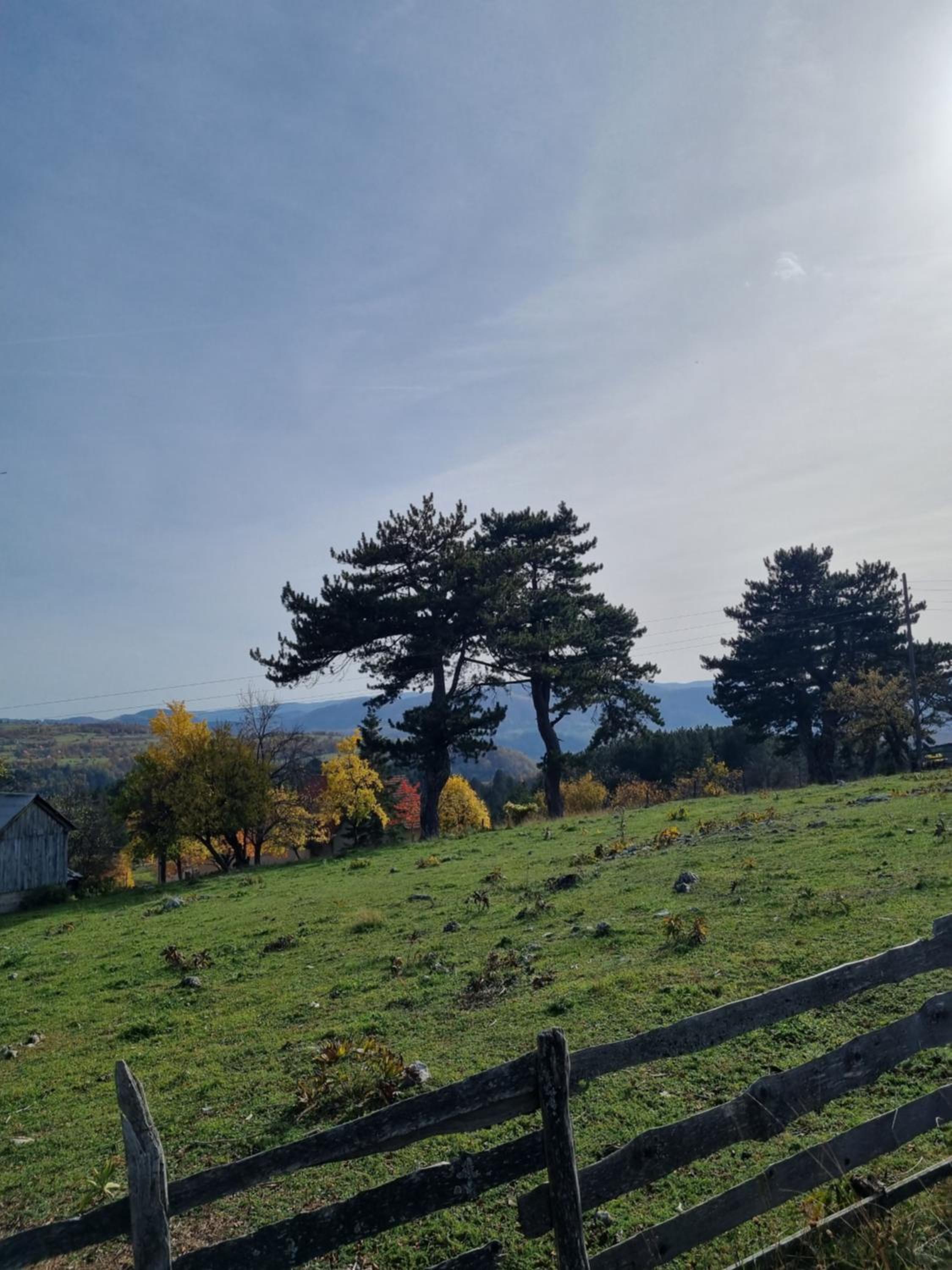 AA Pine vikendica za izdavanje u srcu Zapadne Srbije