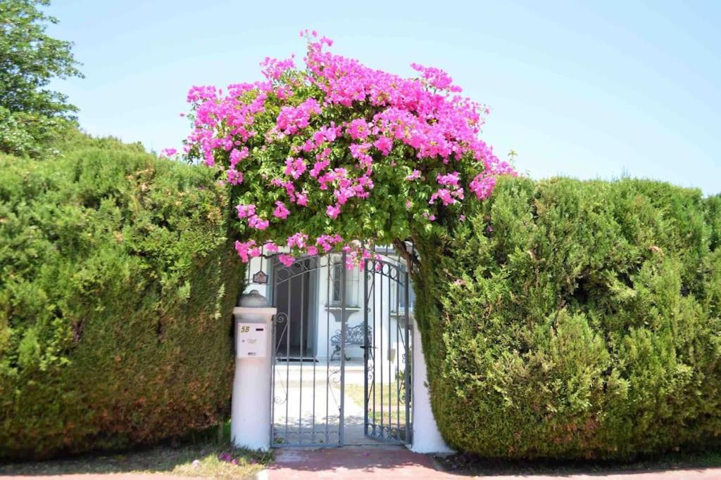 Villa Paradise close to Puerto Banus