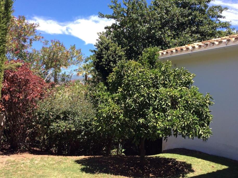 Villa Paradise close to Puerto Banus