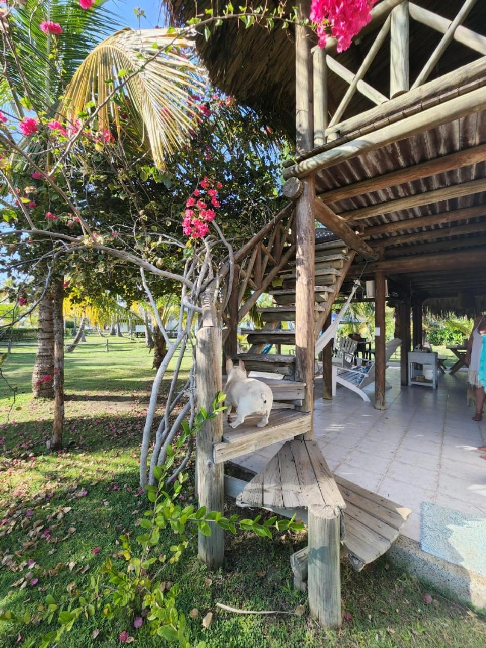Cabana Ferrer
