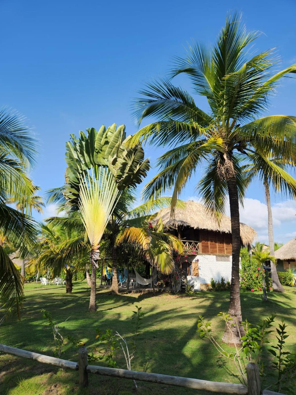 Cabana Ferrer