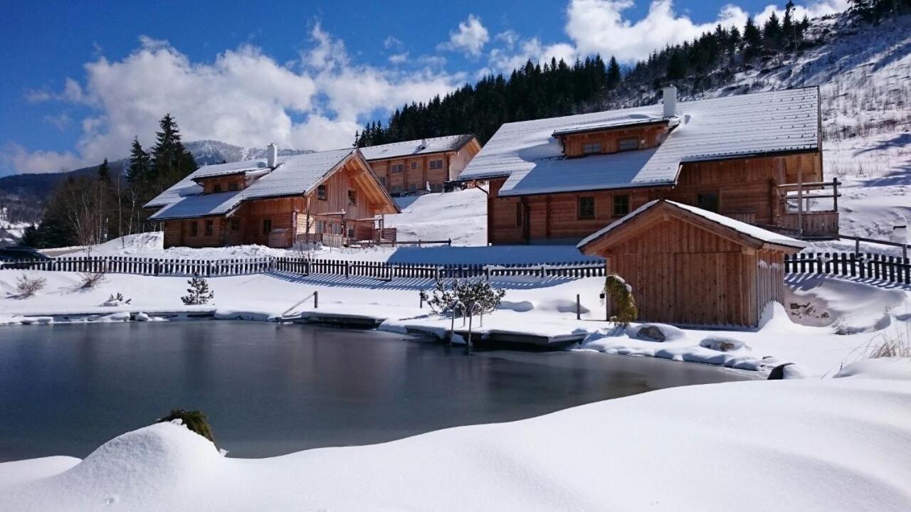 Chalet Dachsteinblick