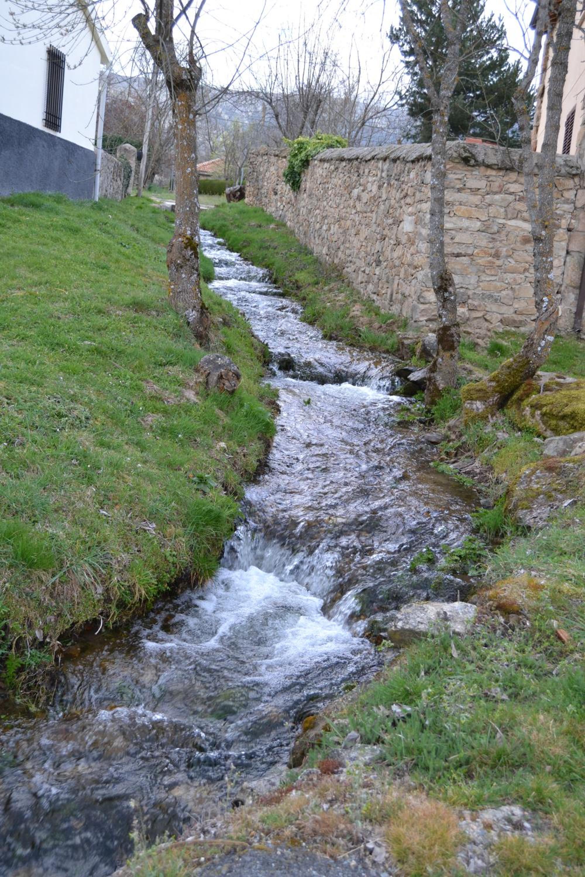 Photo 46