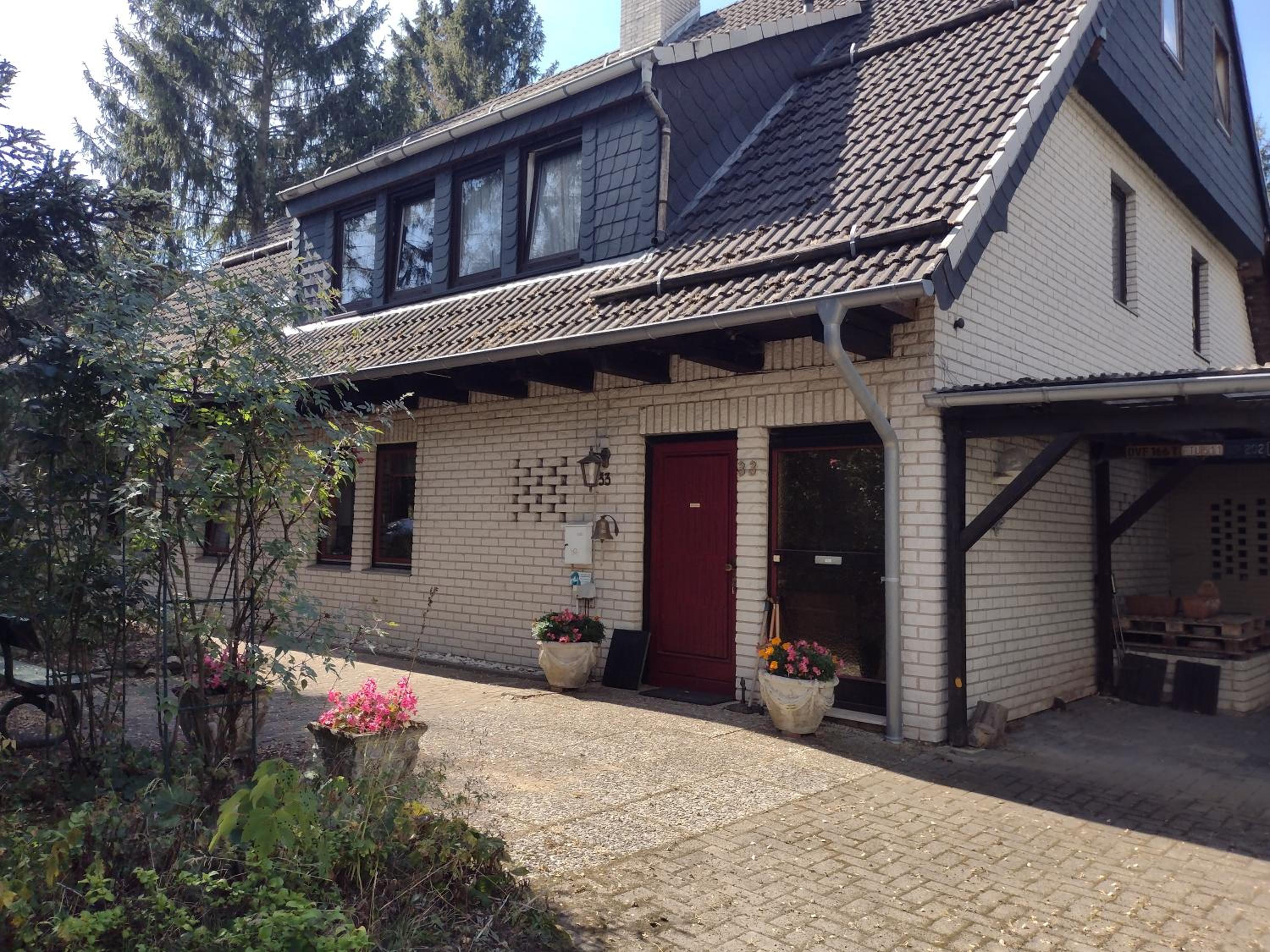 Olifant in Osterode