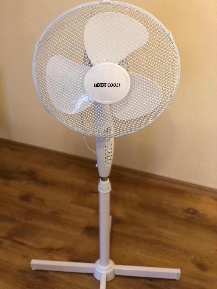 Photo 38