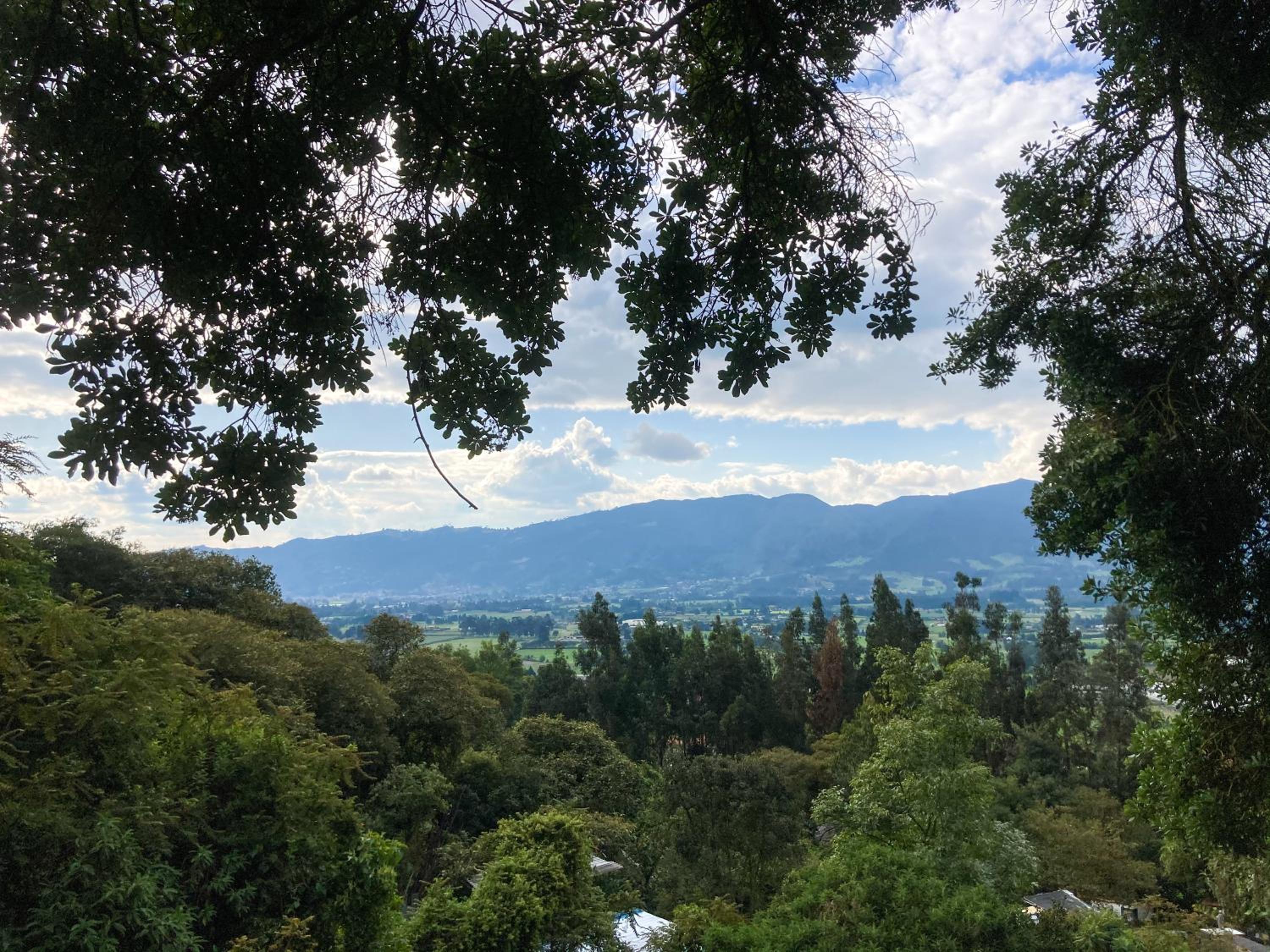 Palu Ecoaldea reserva forestal view 4