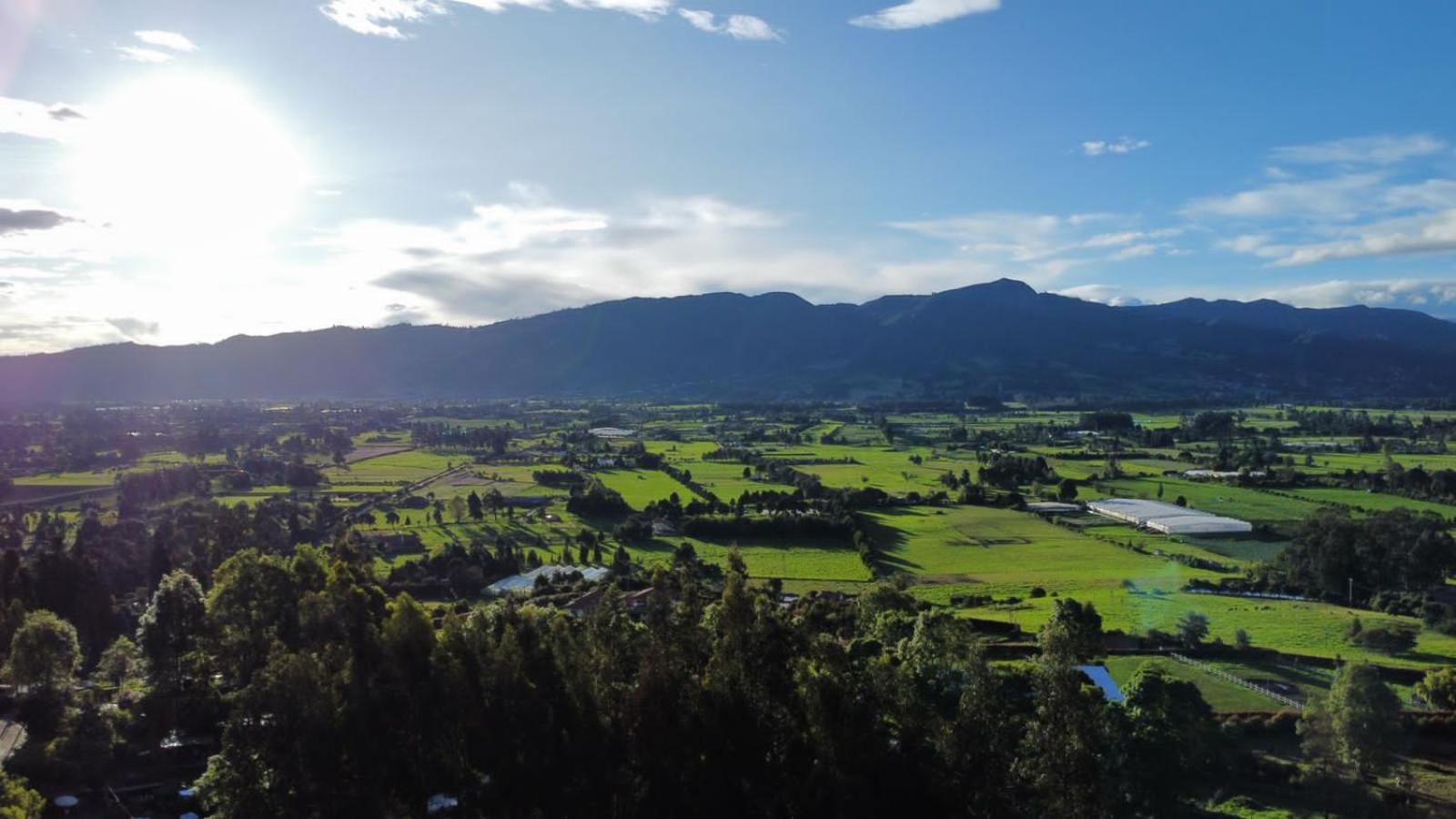 Palu Ecoaldea reserva forestal view 5