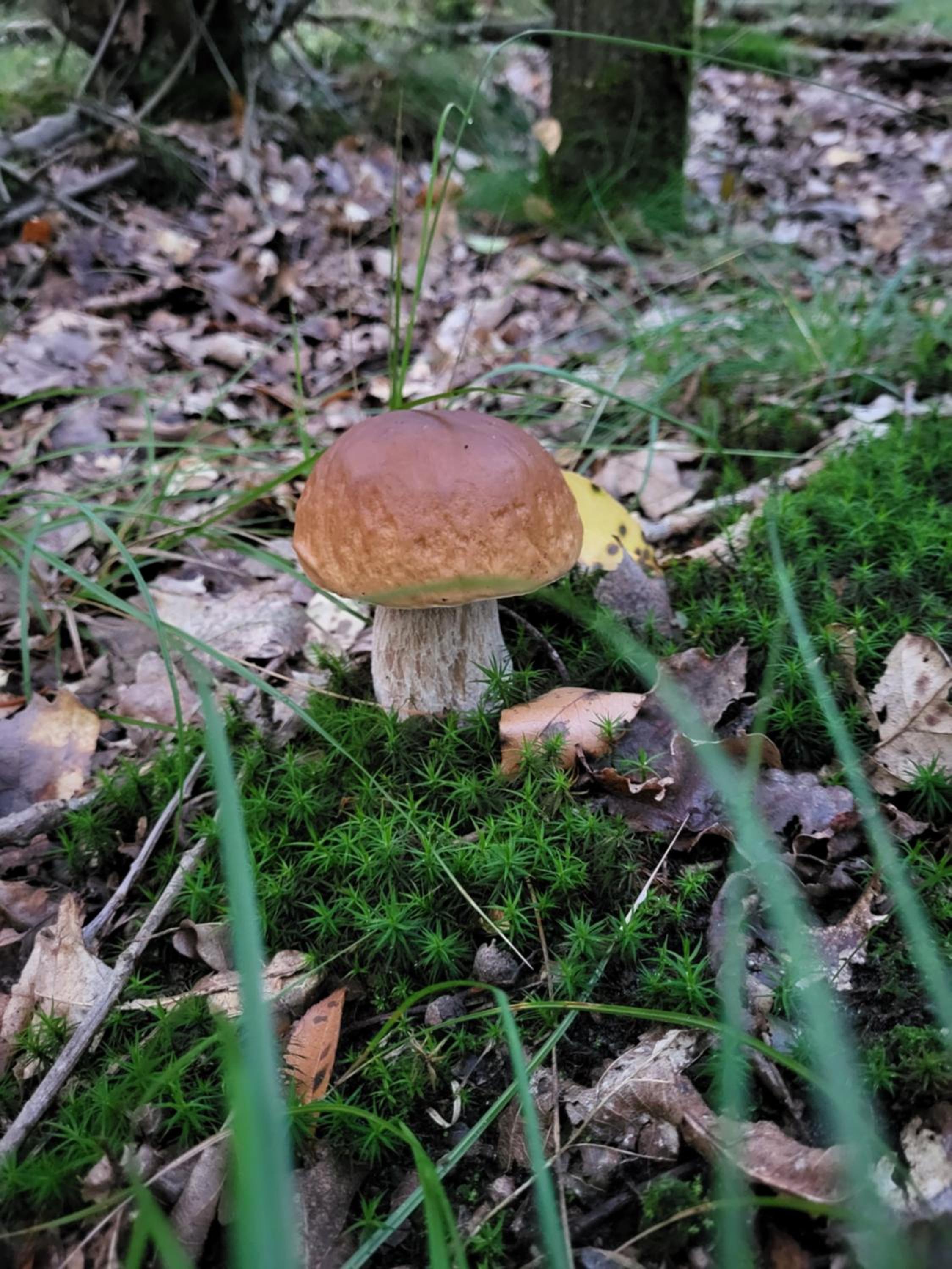 Photo 41