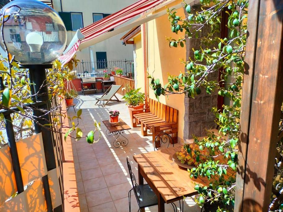 balance & terrace