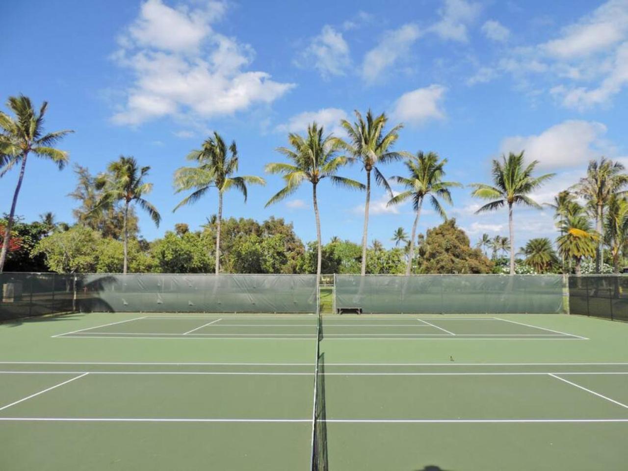 Turtle Bay Perfect Family Destination near beach