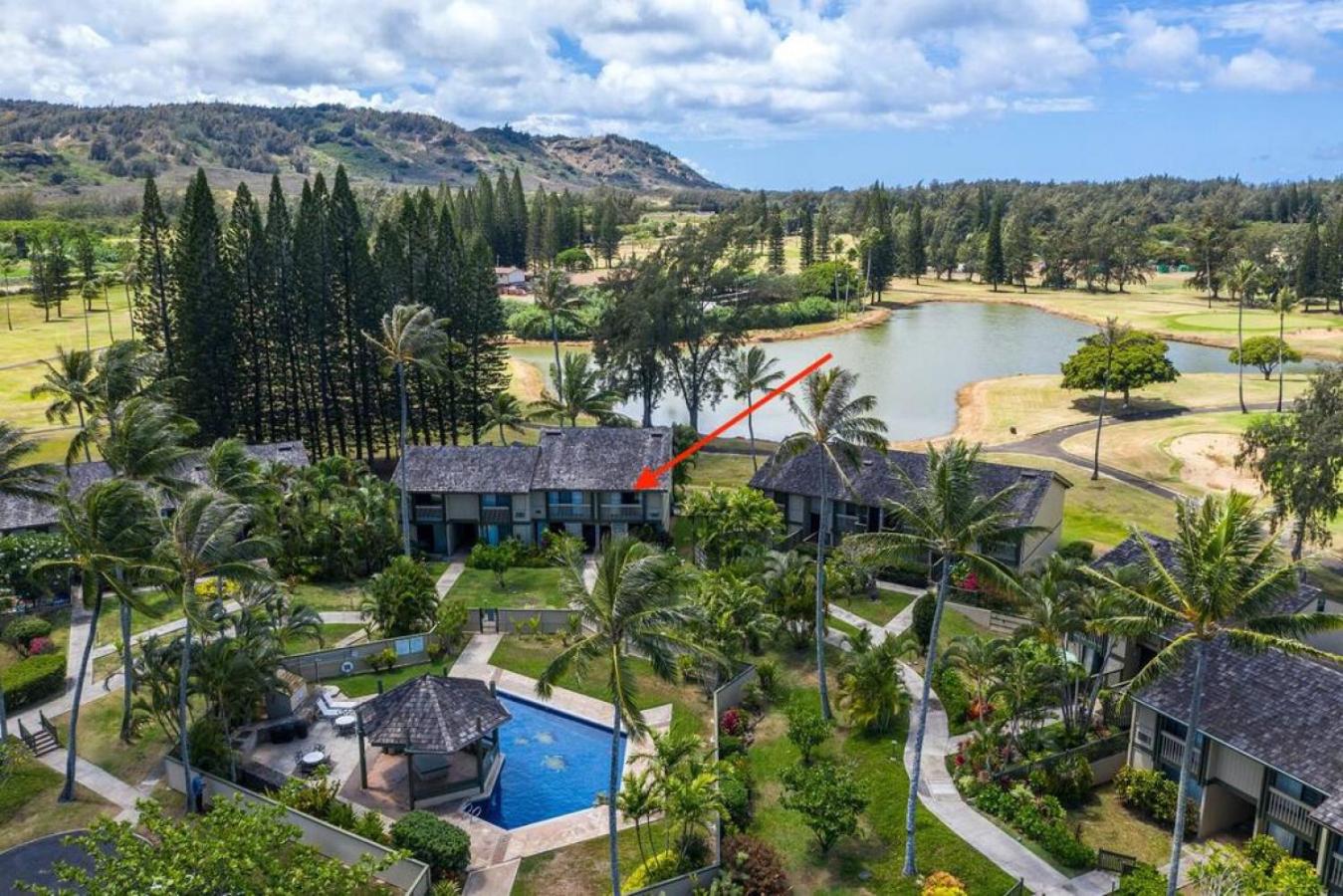 Turtle Bay Perfect Family Destination near beach