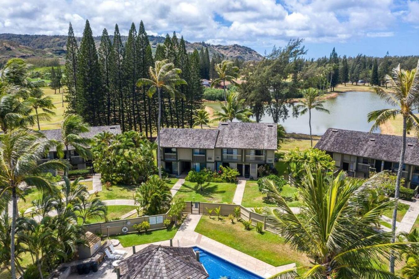 Turtle Bay Perfect Family Destination near beach