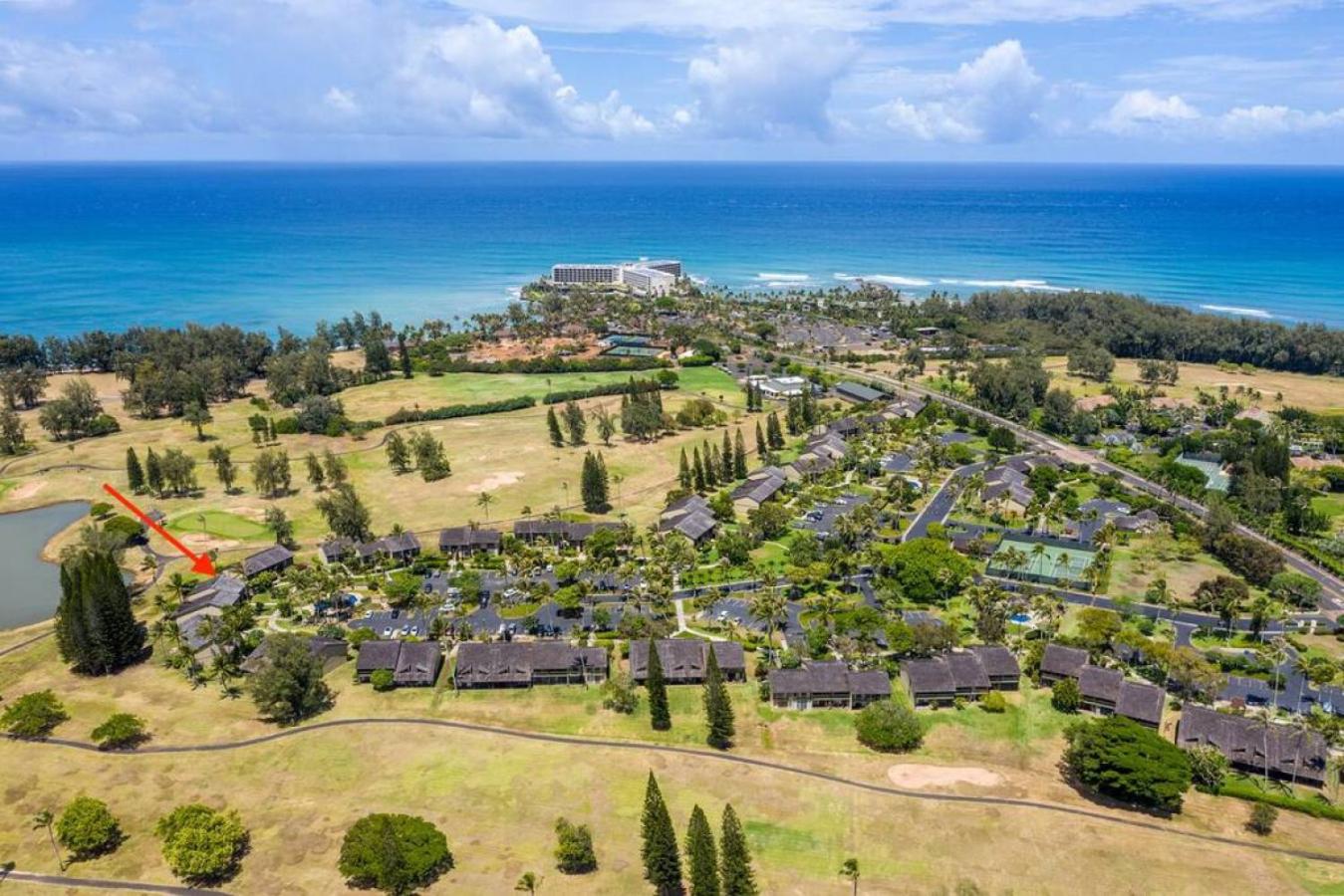 Turtle Bay Perfect Family Destination near beach