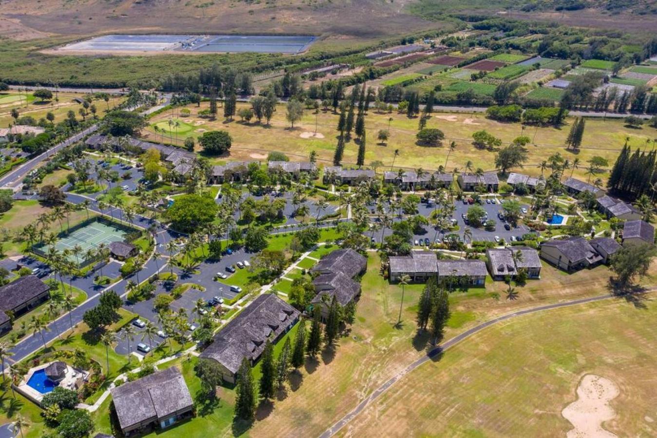 Turtle Bay Perfect Family Destination near beach