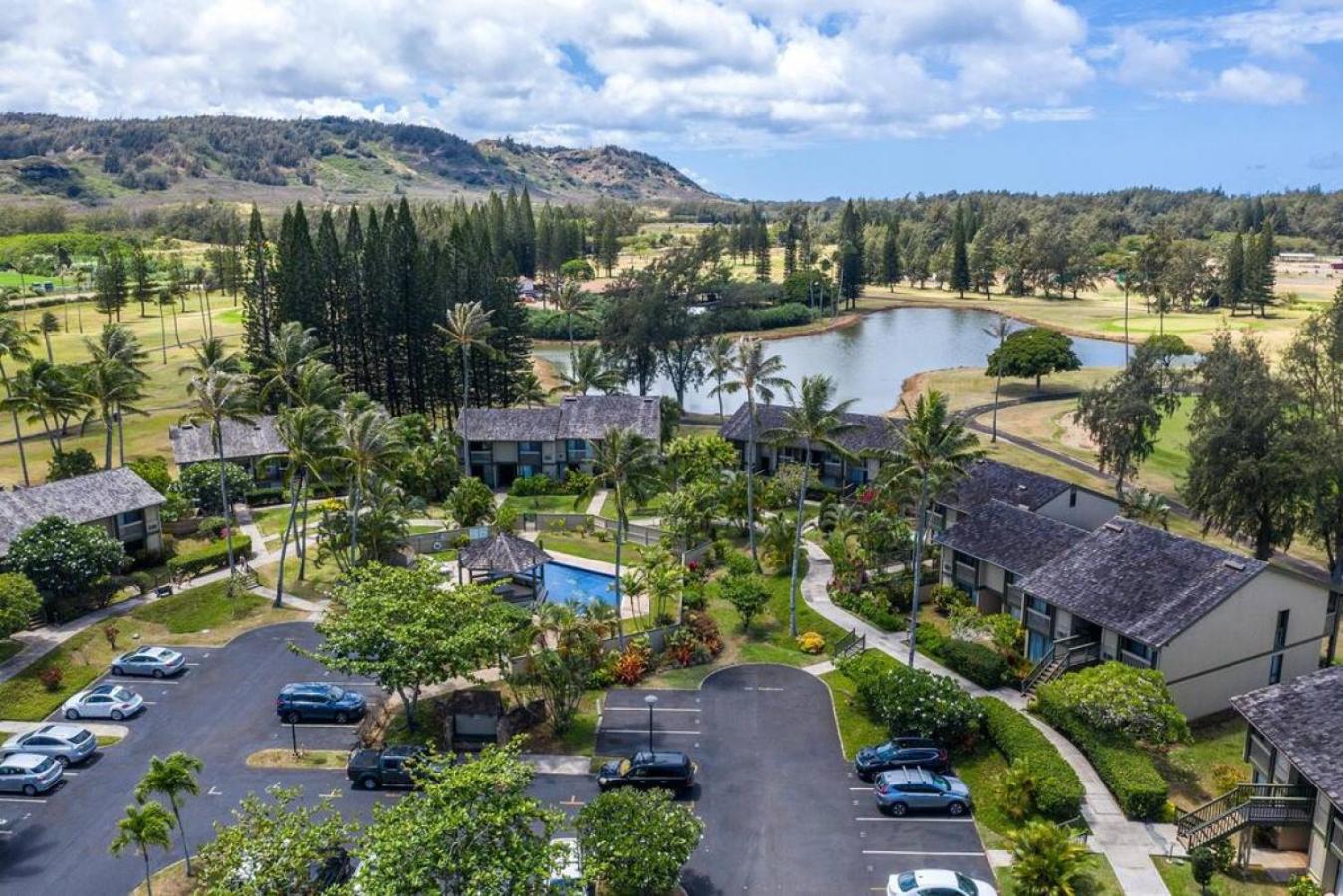 Turtle Bay Perfect Family Destination near beach