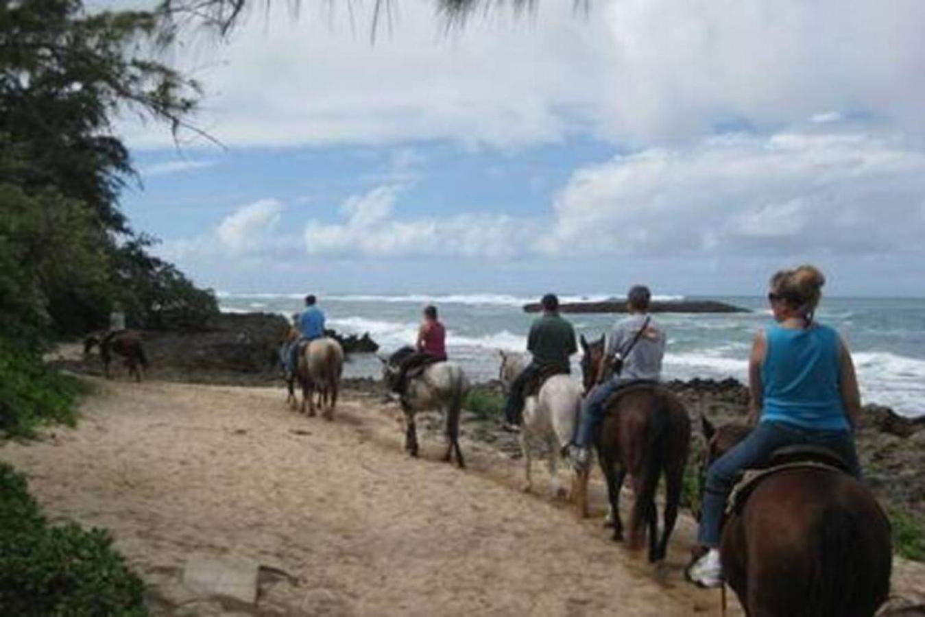 Turtle Bay Perfect Family Destination near beach