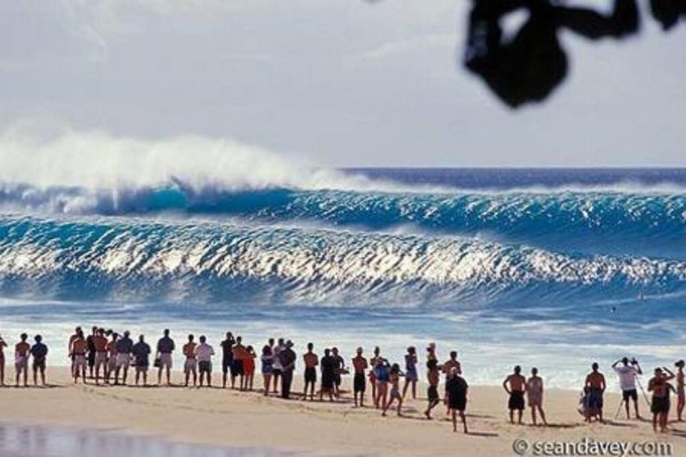 Turtle Bay Perfect Family Destination near beach