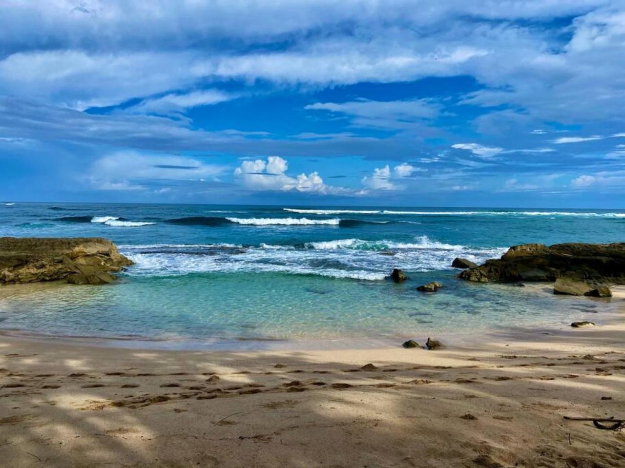 Turtle Bay Perfect Family Destination near beach