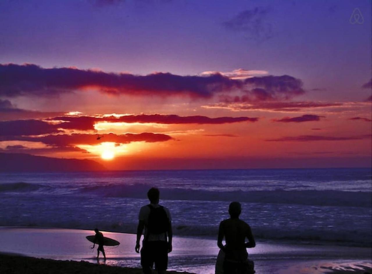 Turtle Bay Perfect Family Destination near beach