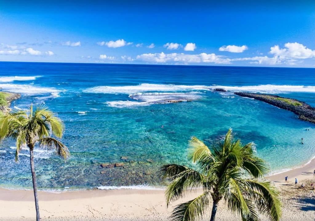 Turtle Bay Perfect Family Destination near beach