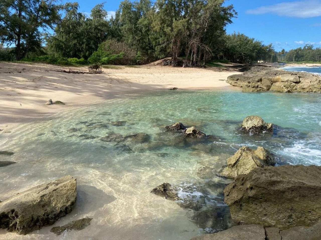 Tropical Getaway perfect for families view 4