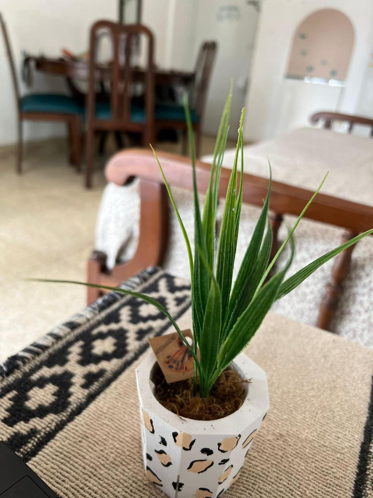 El departamento de la abuela