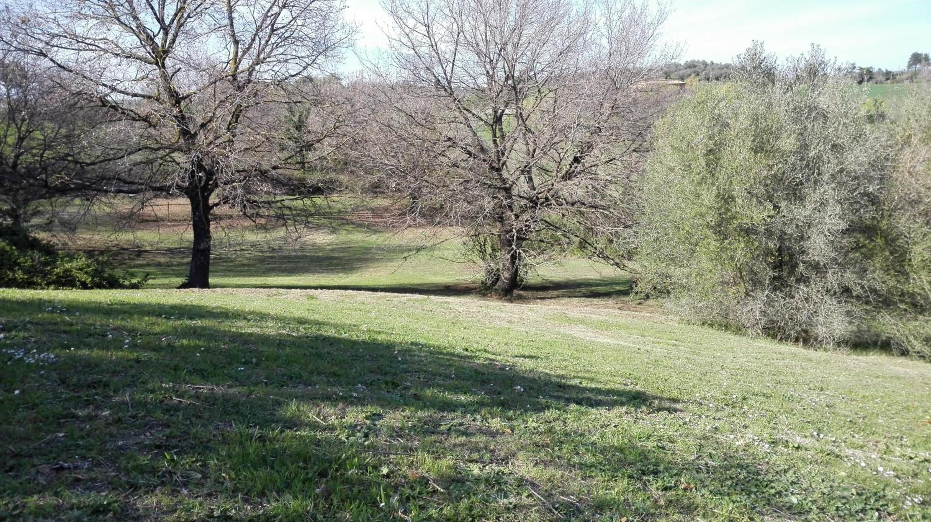 Photo 34