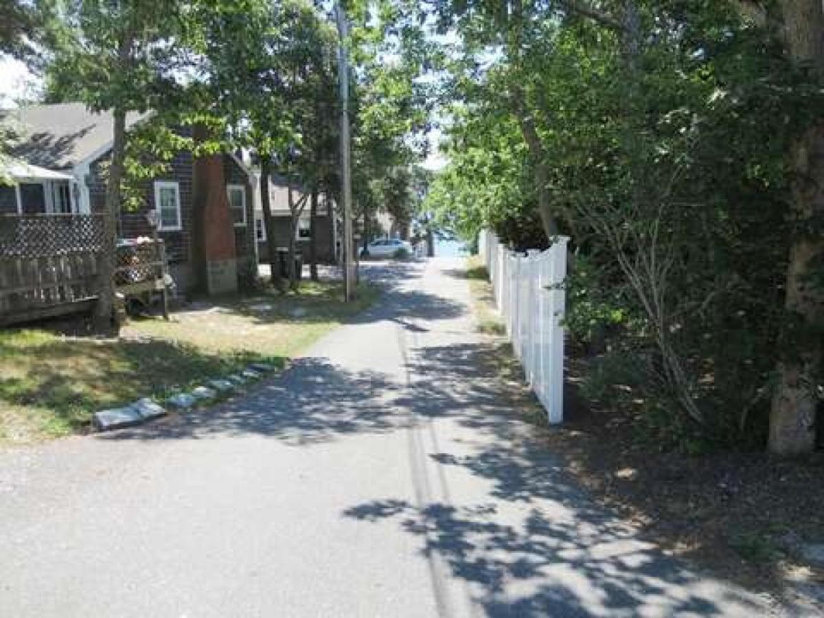 Photo 45